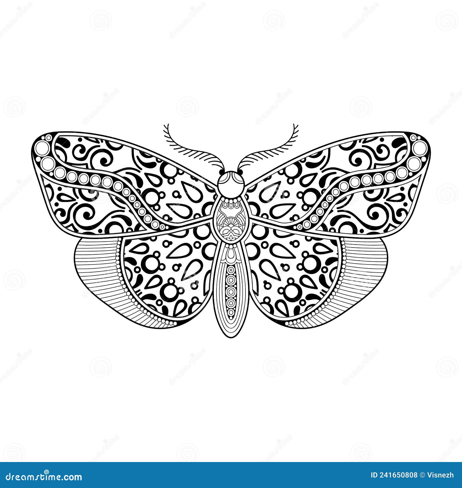 Vector Butterfly Black and White Element Line Art Print Design Stock