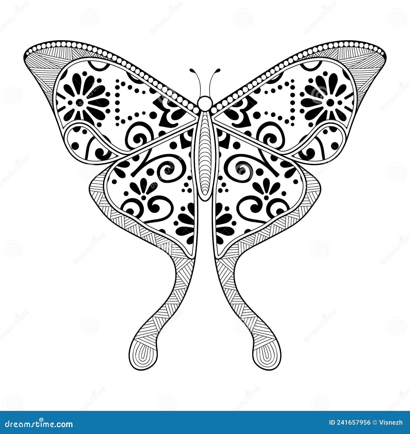 Vector Butterfly Black and White Element Line Art Print Design Stock Vector Illustration of