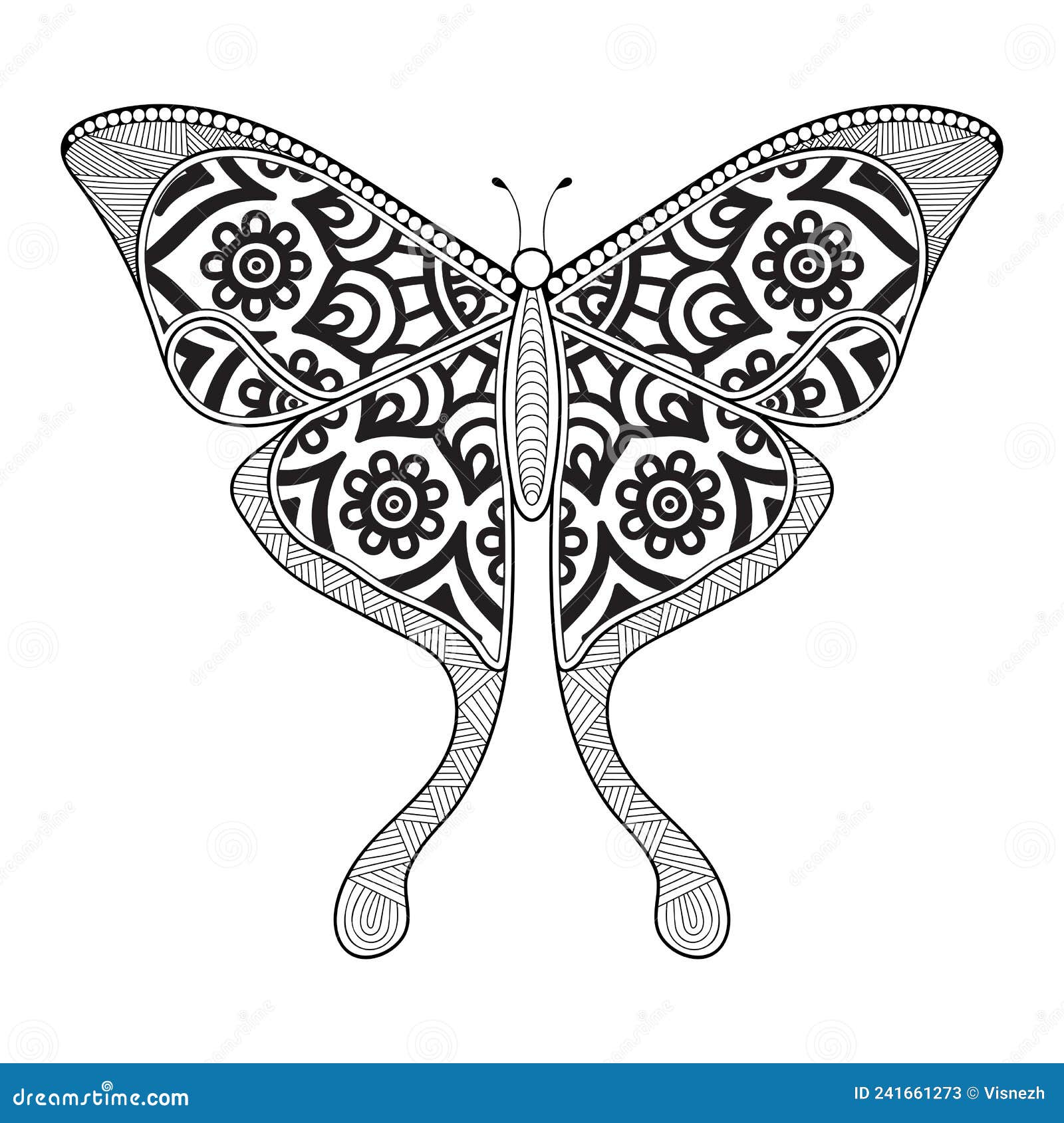 Vector Butterfly Black and White Element Line Art Print Design Stock