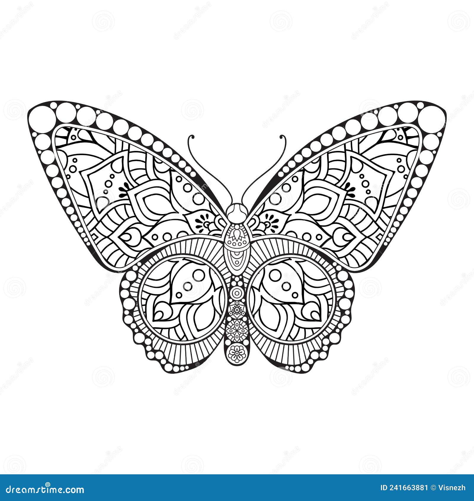 Vector Butterfly Black and White Element Line Art Print Design Stock