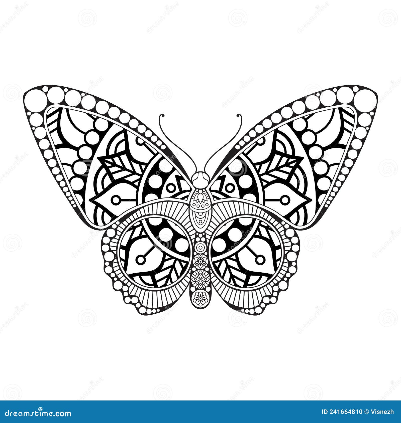 Vector Butterfly Black and White Element Line Art Print Design Stock
