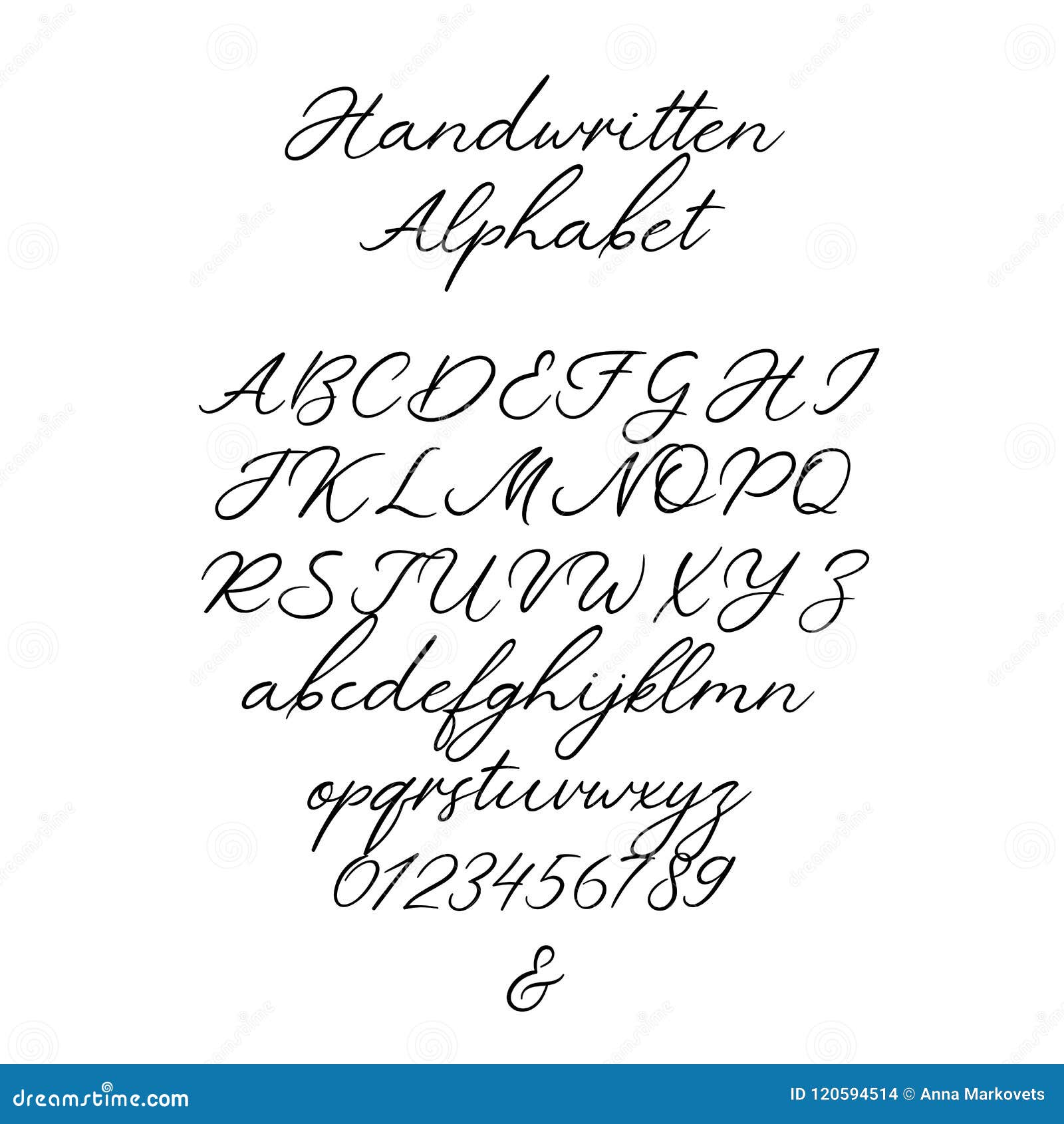 Vector Calligraphy Alphabet Exclusive Letters Decorative