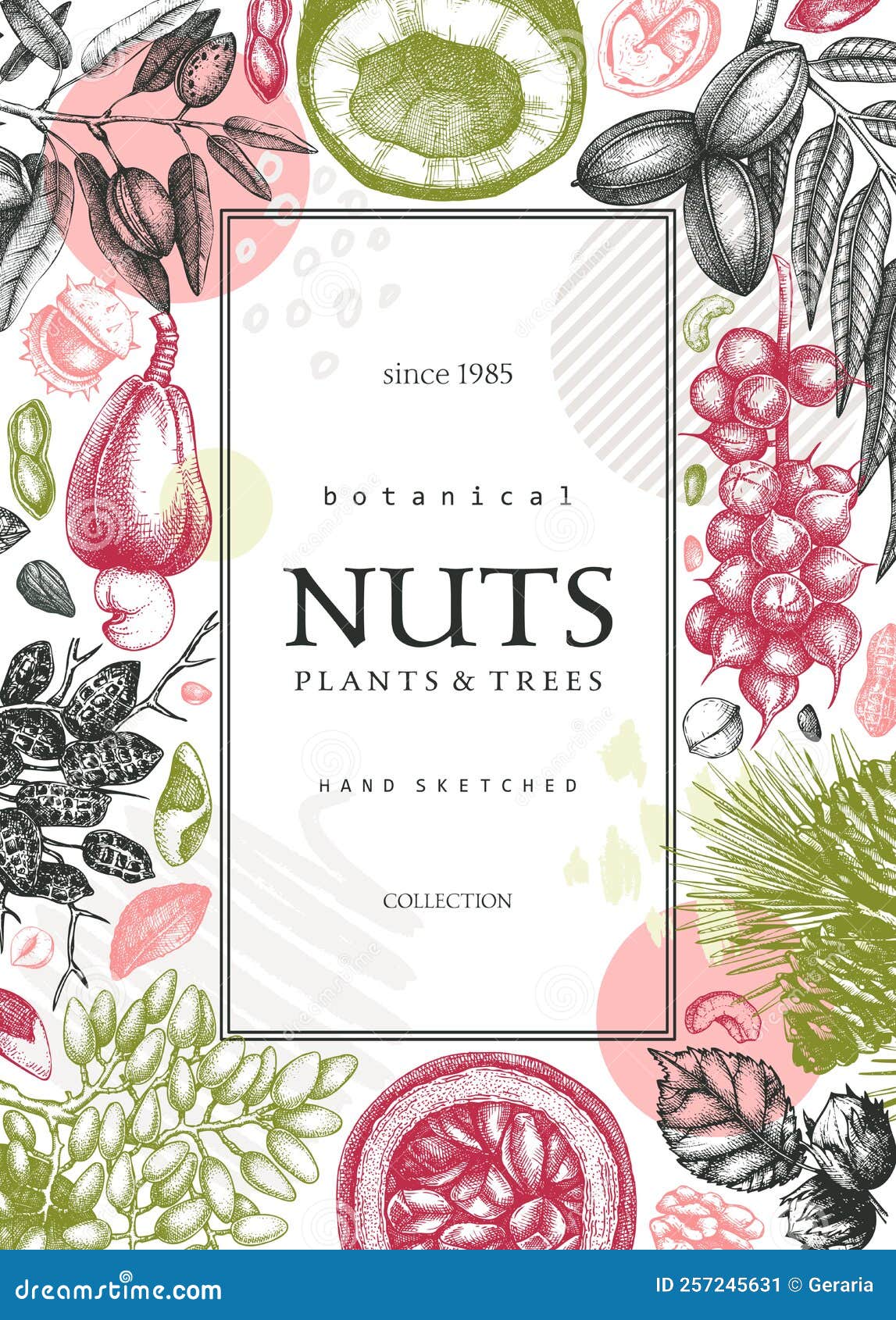 https://thumbs.dreamstime.com/z/vector-card-banner-college-style-vintage-nuts-sketched-frame-healthy-food-background-branches-plants-nutshells-hand-257245631.jpg