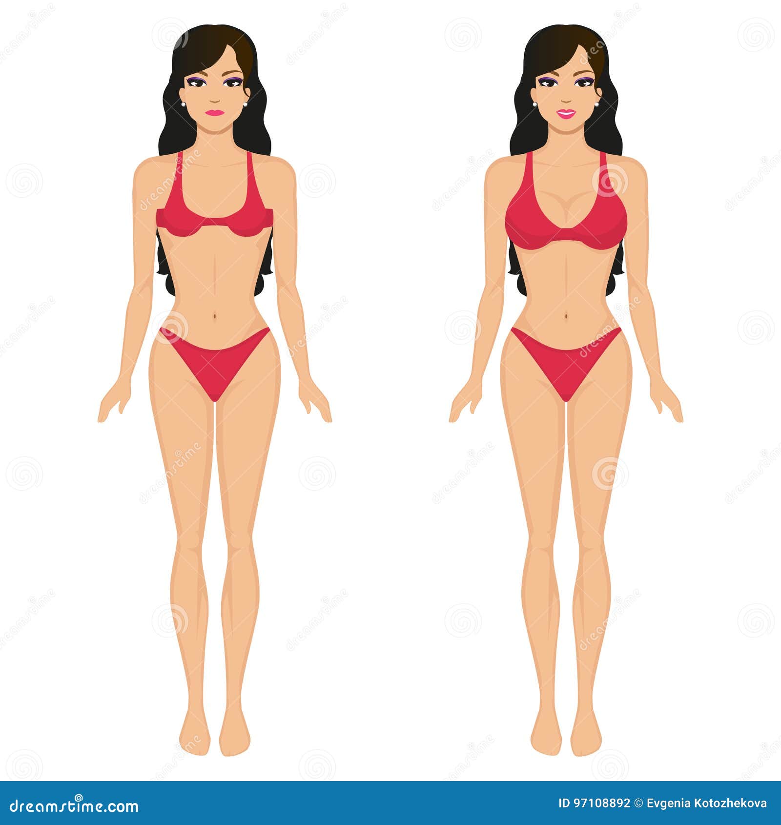 Free Vectors  Women with small breasts and women with large breasts