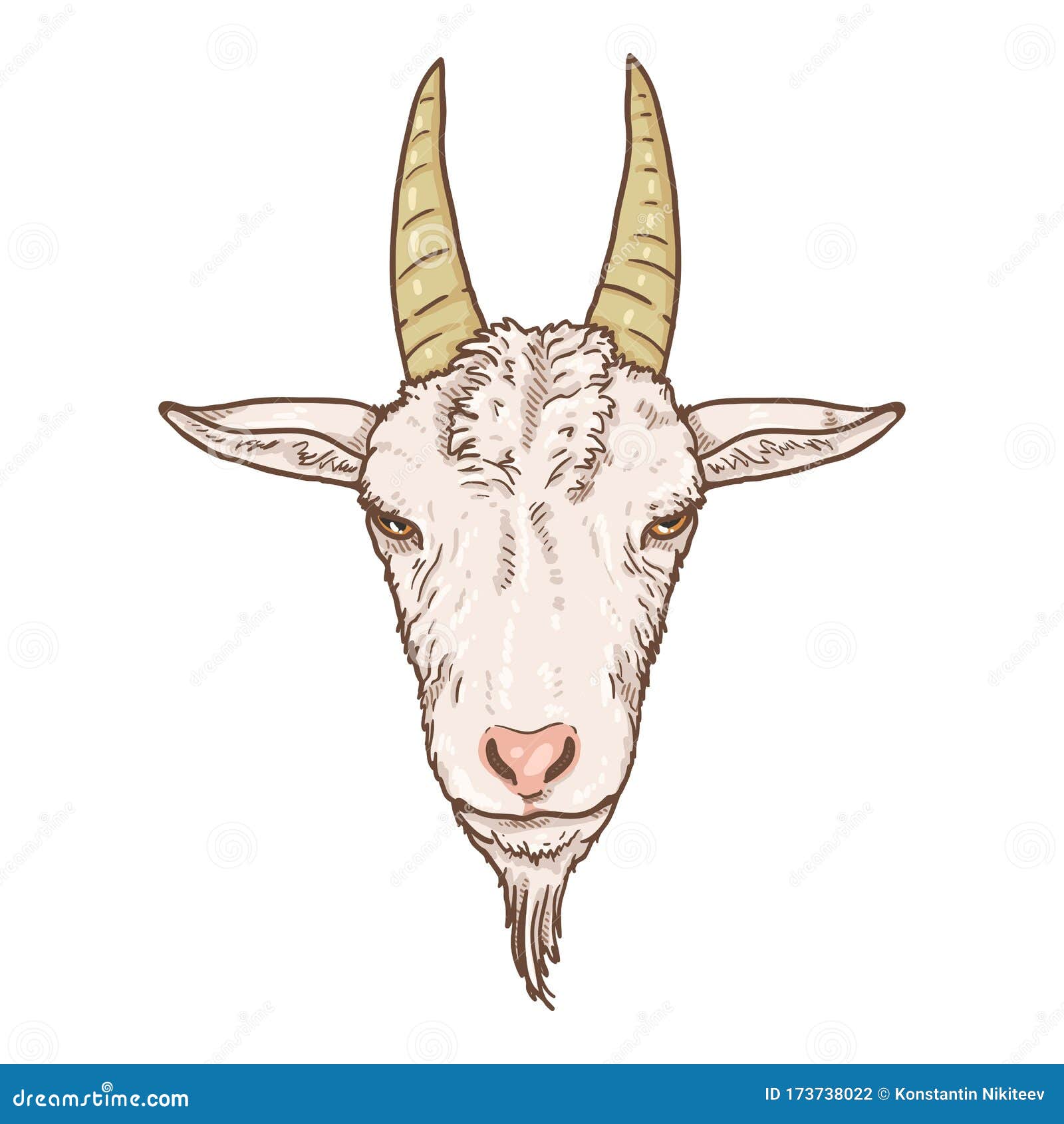 Goat Drawing Images  Browse 82480 Stock Photos Vectors and Video   Adobe Stock