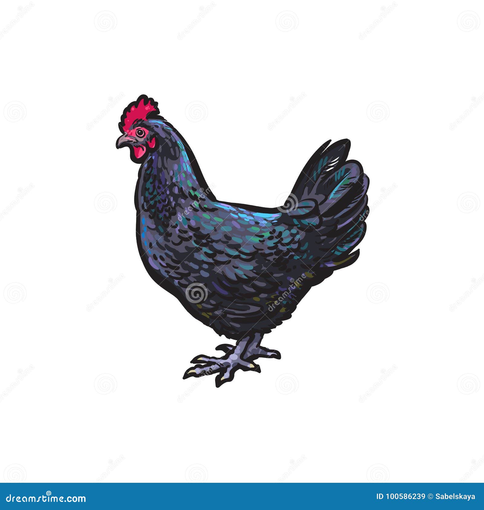 Chicken Ink Drawing: Over 7,800 Royalty-Free Licensable Stock Illustrations  & Drawings | Shutterstock