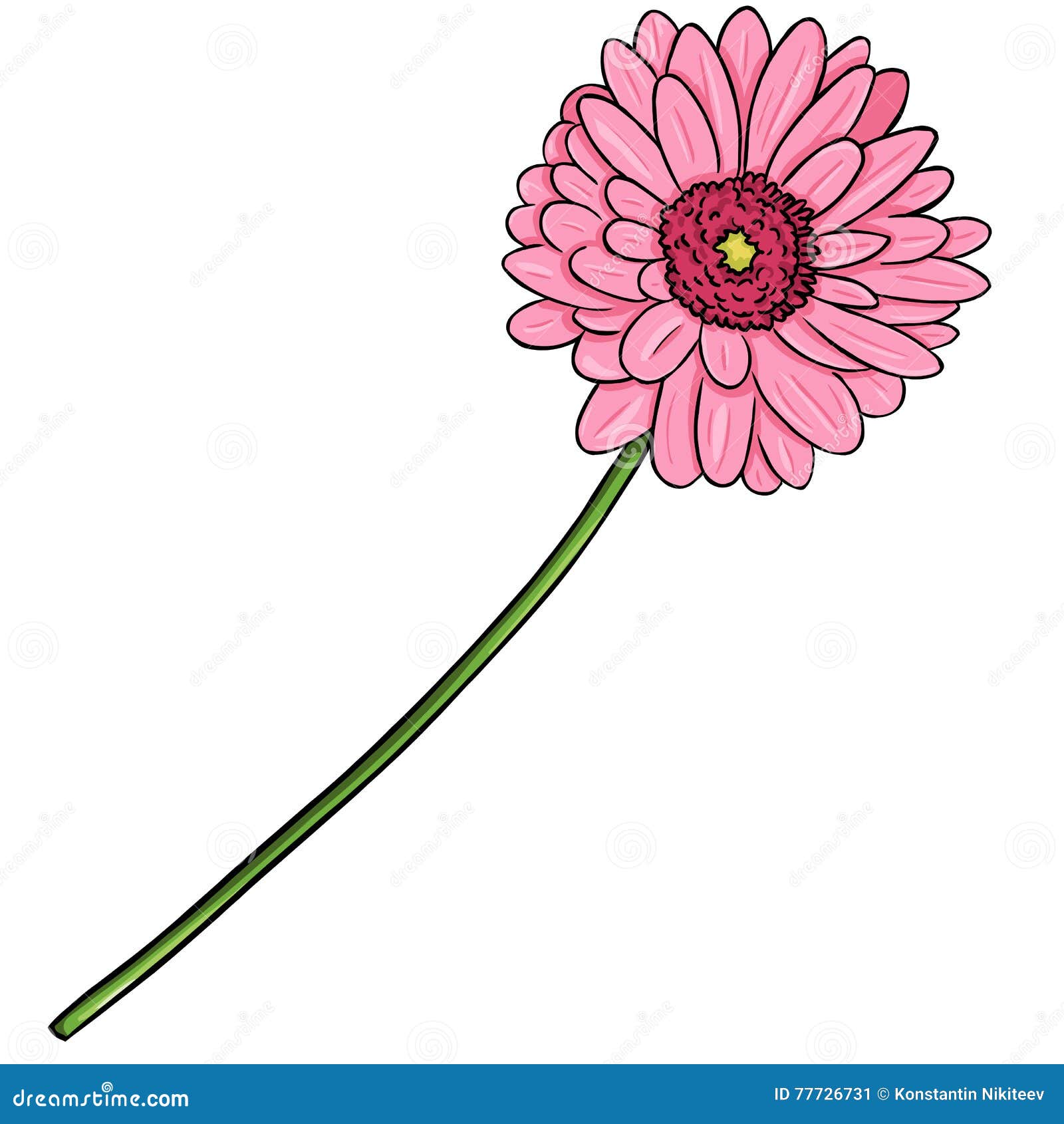 Vector Cartoon Illustration Pink Gerberas Stock Illustration