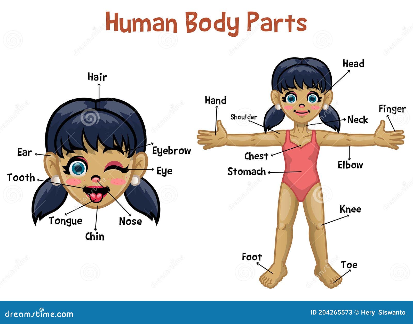 Cartoon Model Girl with Body Parts Name Stock Vector - Illustration of  cartoon, knowledge: 204265573