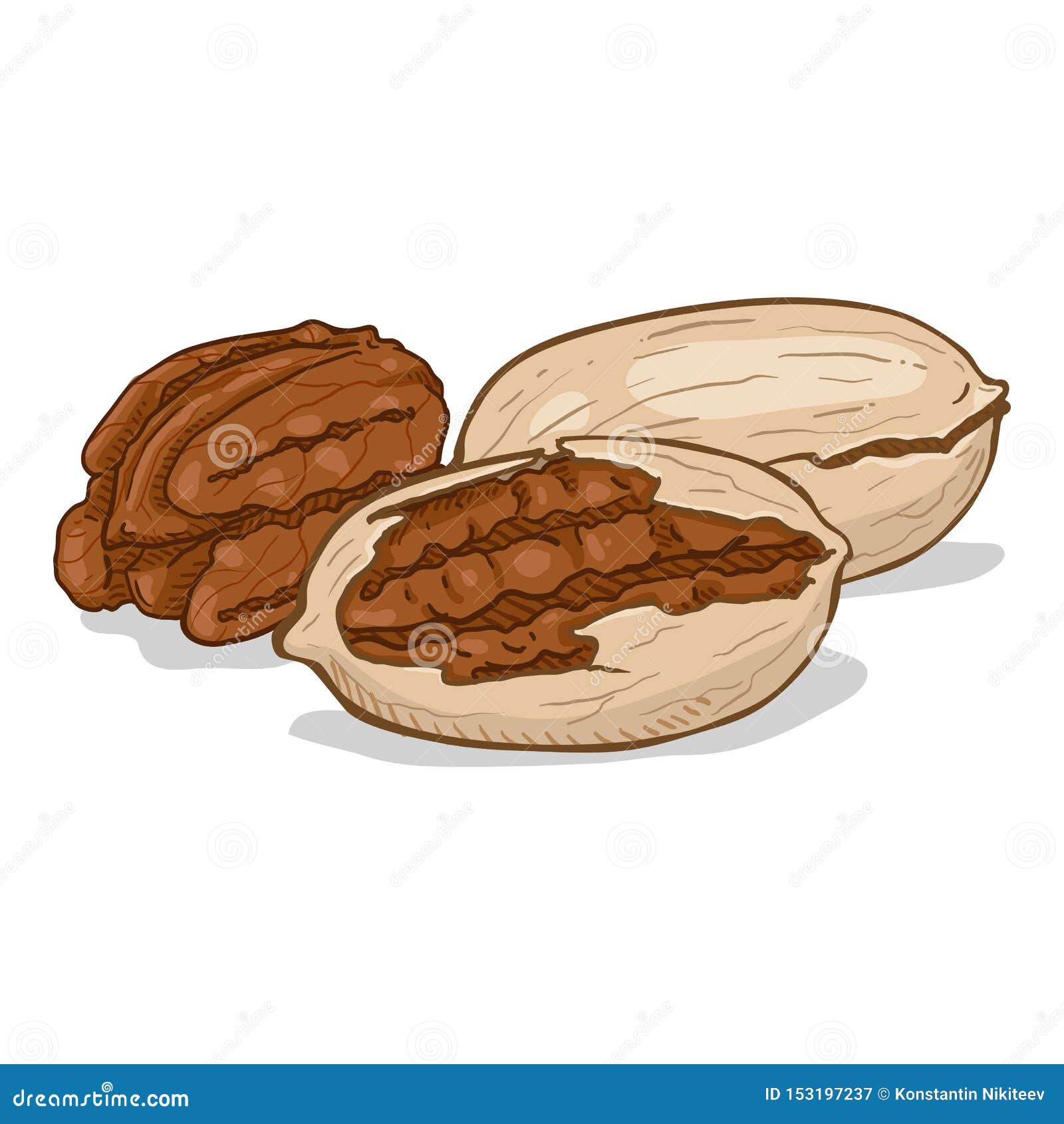 Vector Cartoon Pile of Pecan Nuts Stock Vector Illustration of object, diet 153197237