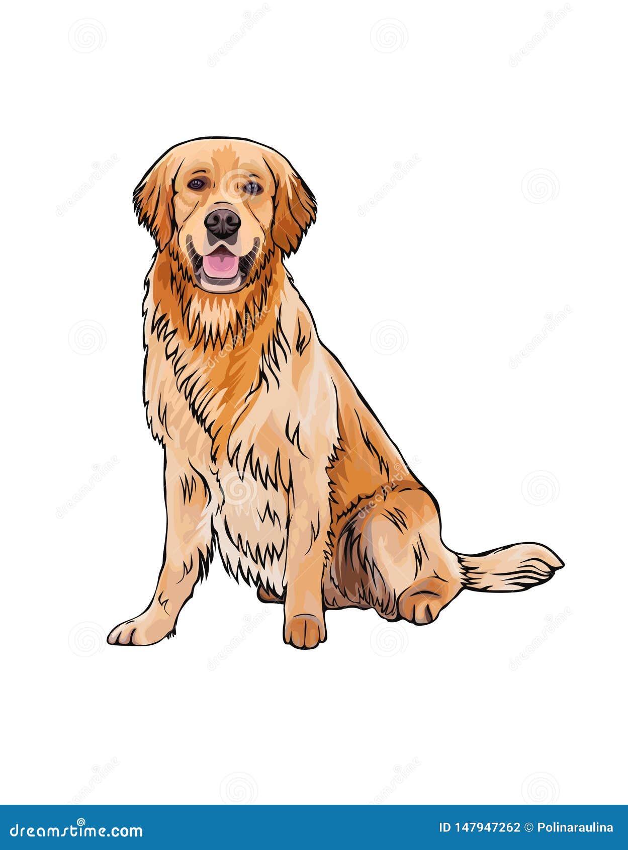 Vector Whole Body Portrait Of A Dog Breed Golden Retriever ...