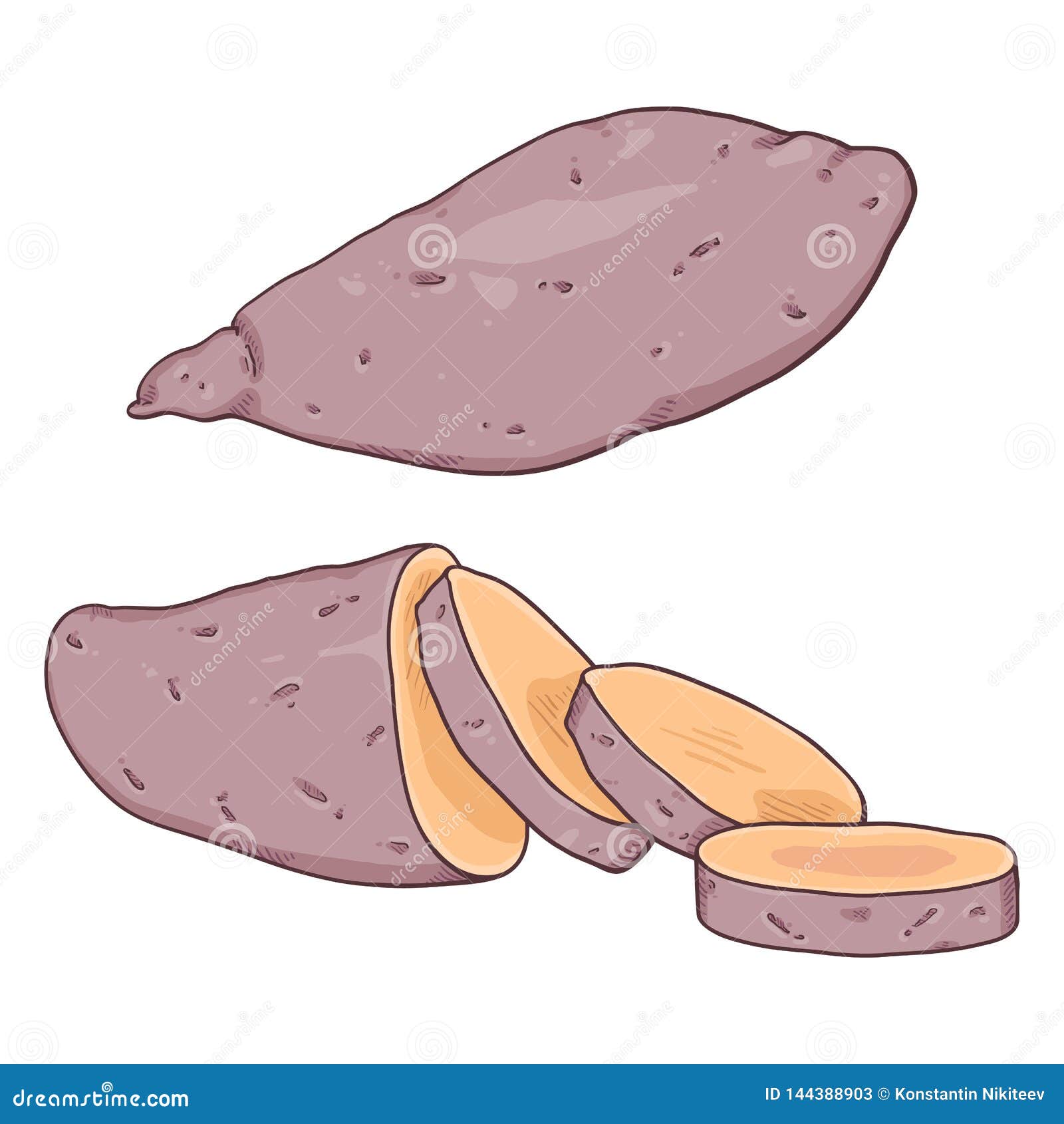 Vector Cartoon Sweet Popato Yam Stock Vector - Illustration of fruit ...