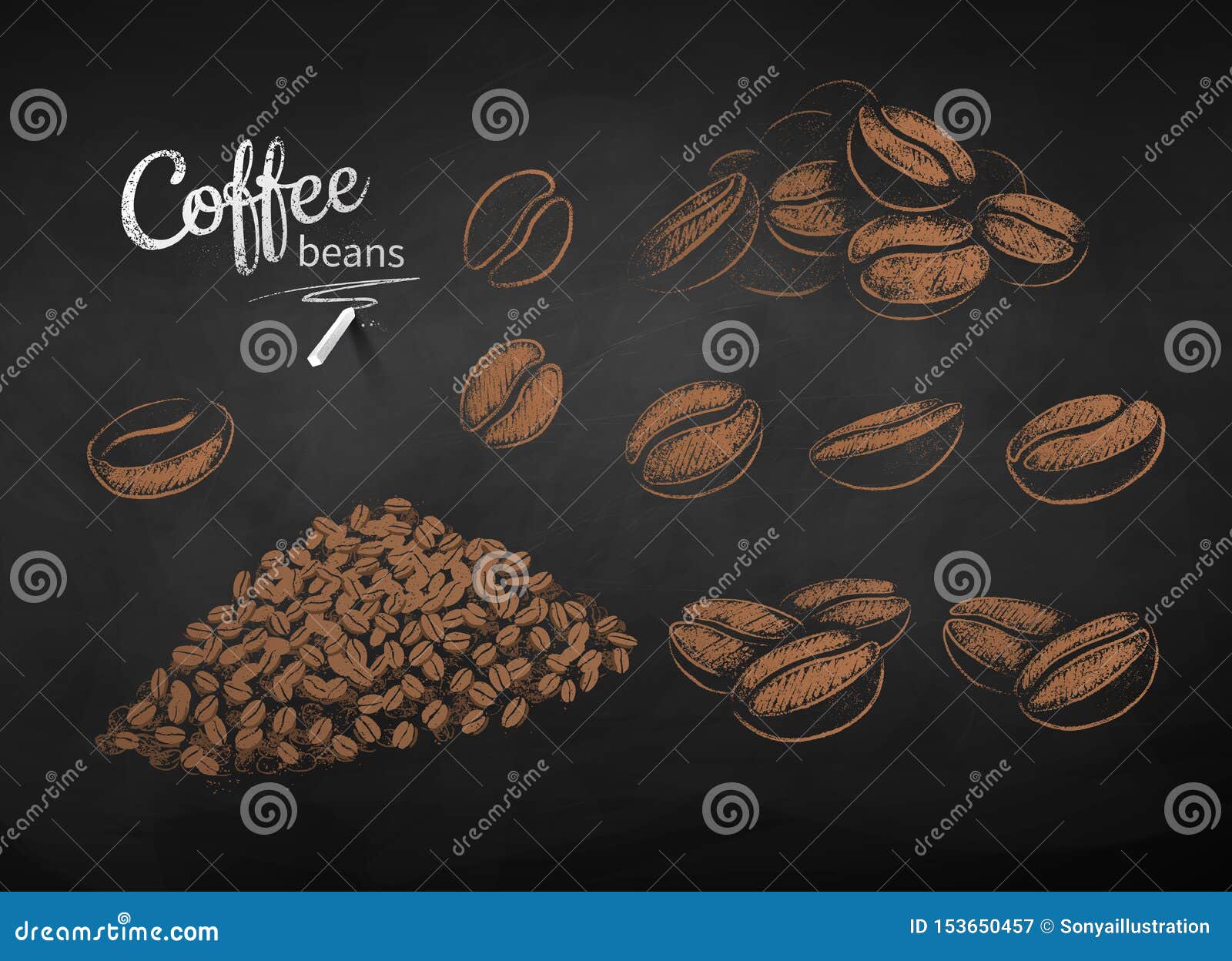 Vector Chalk Drawn Sketches Set of Coffee Beans Stock Vector