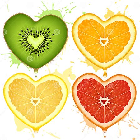 Vector citrus hearts stock vector. Illustration of orange - 9351677