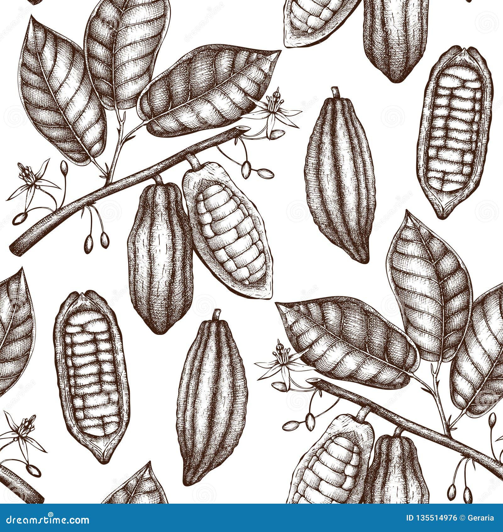  cocoa tree . vintage background with hand drawn with leaves, flowres, fruits and beans. botanical seamless patt