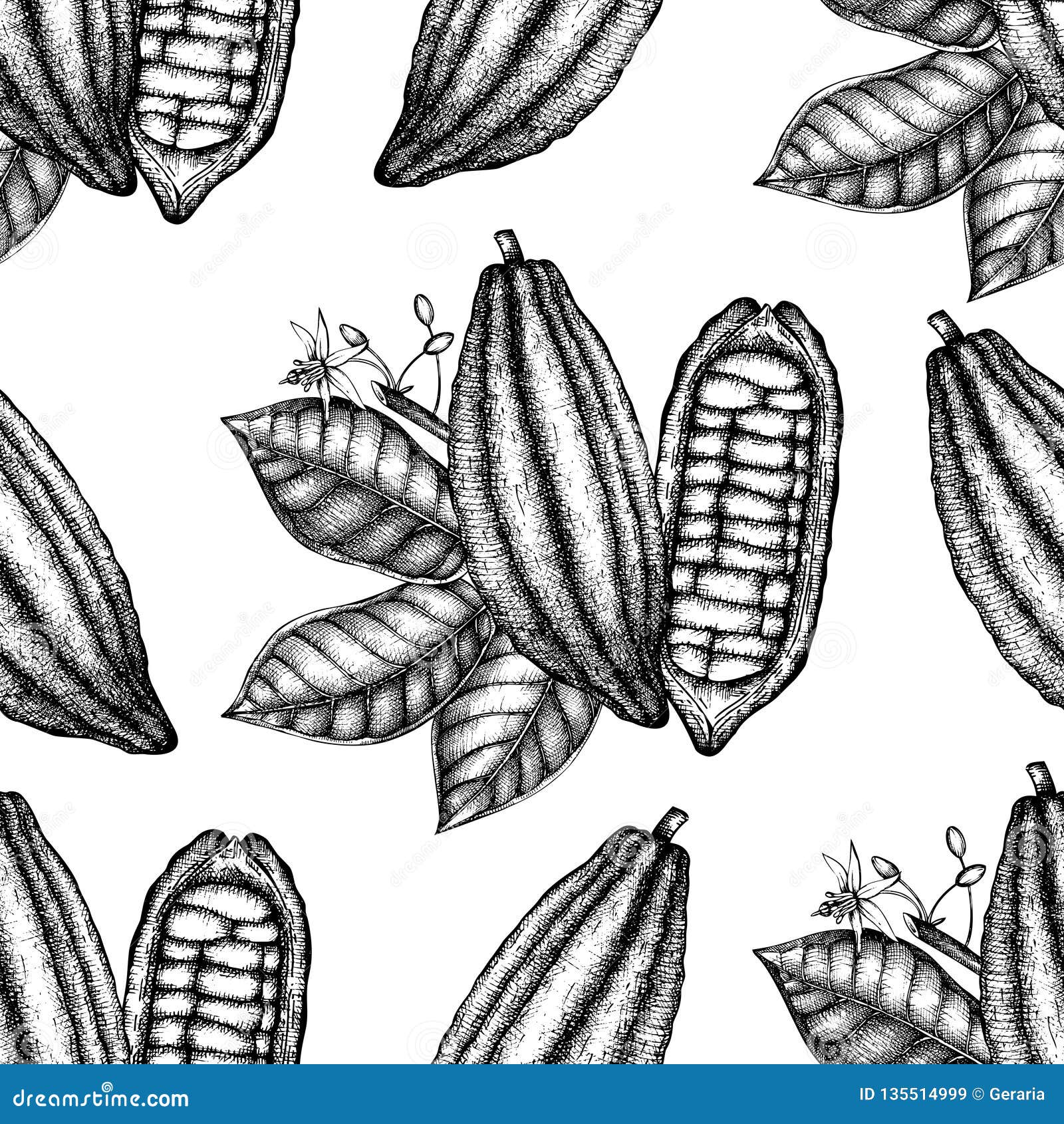  cocoa tree . vintage background with hand drawn with leaves, flowres, fruits and beans. botanical seamless patt