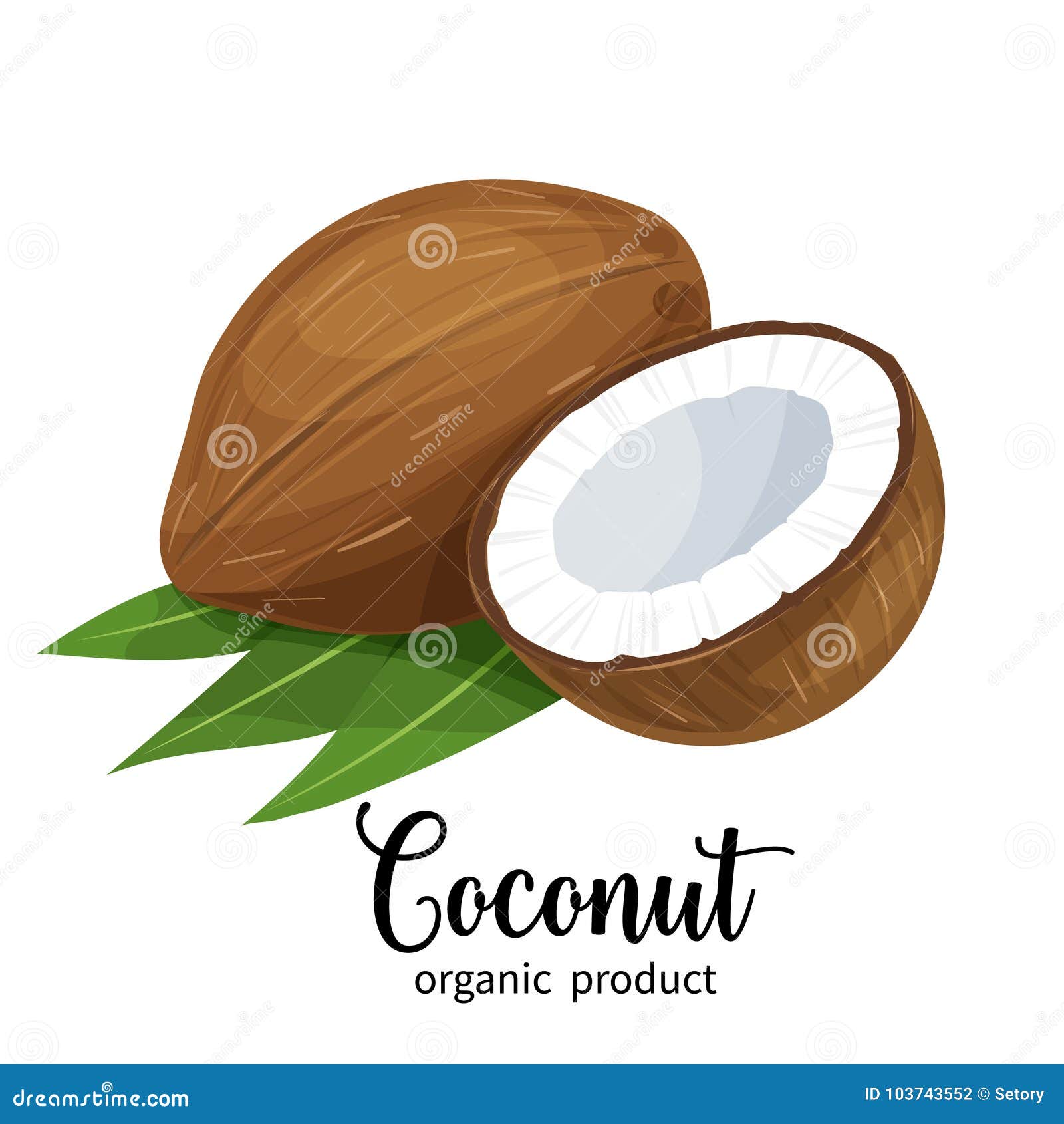 Coconut in cartoon style stock vector. Illustration of coco - 103743552