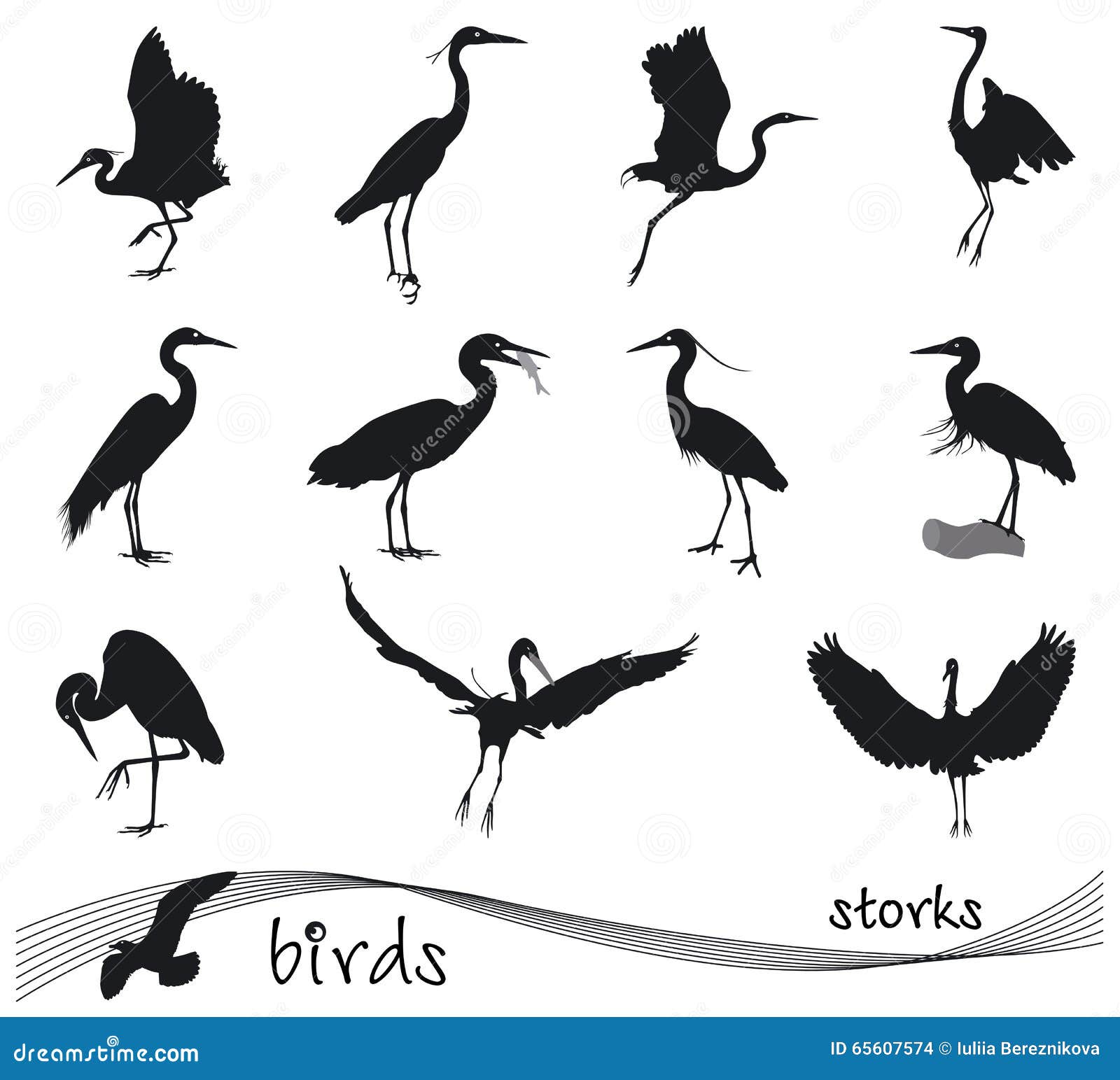 Vector Collection of Stork Silhouettes Stock Vector - Illustration of ...