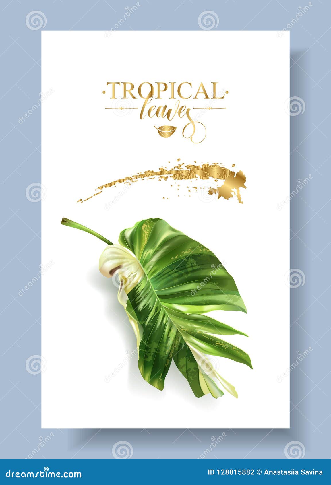  color banner of alocasia tropic leaf