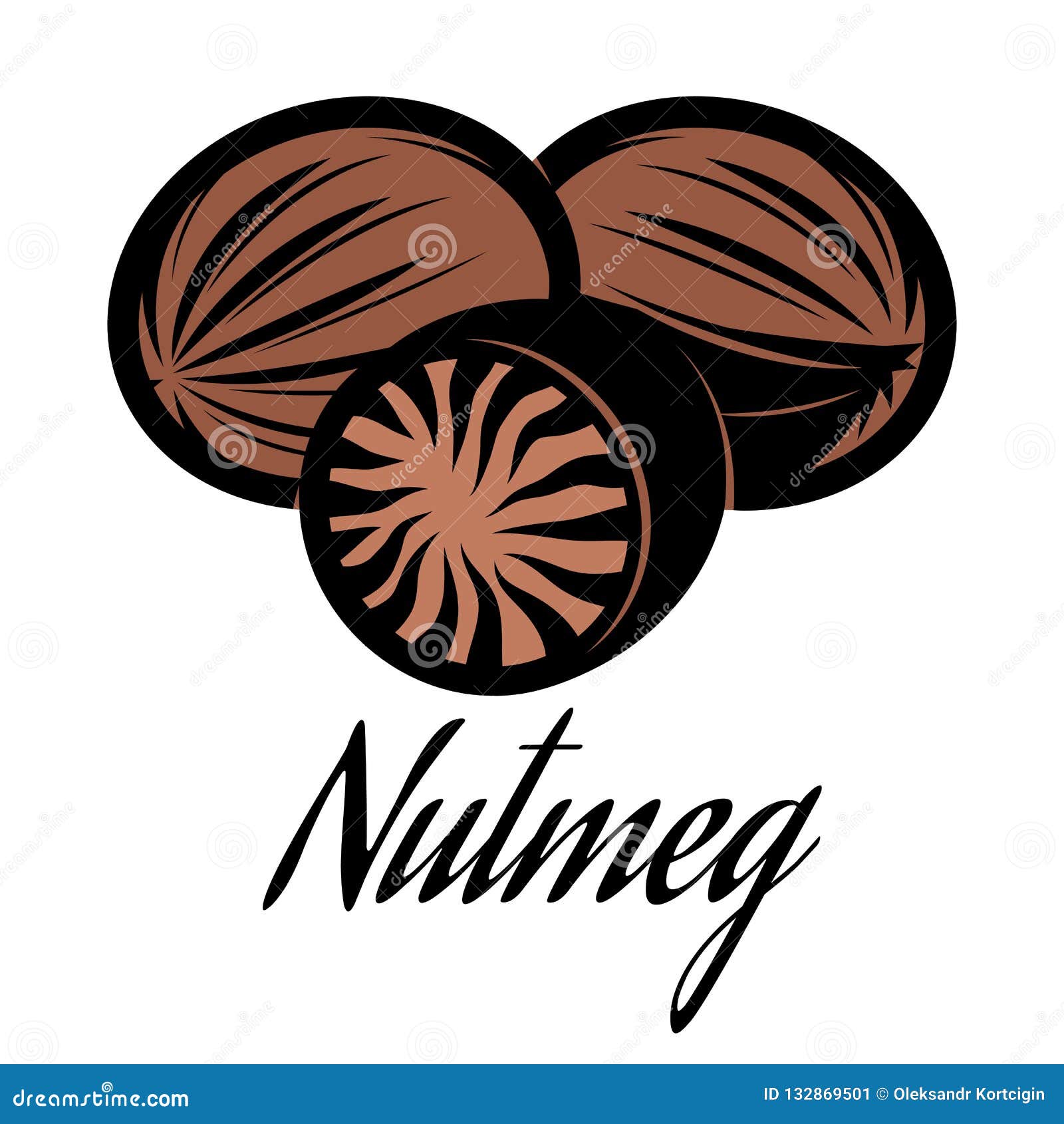 Vector Color Illustration Of A Nutmeg Pod 132869501