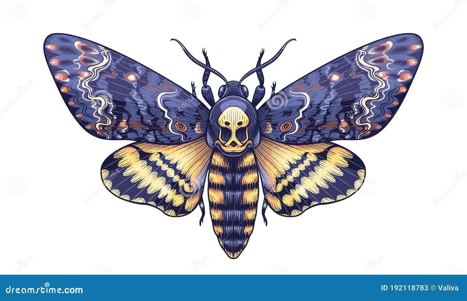 200 Death Moth Tattoo Illustrations RoyaltyFree Vector Graphics  Clip  Art  iStock
