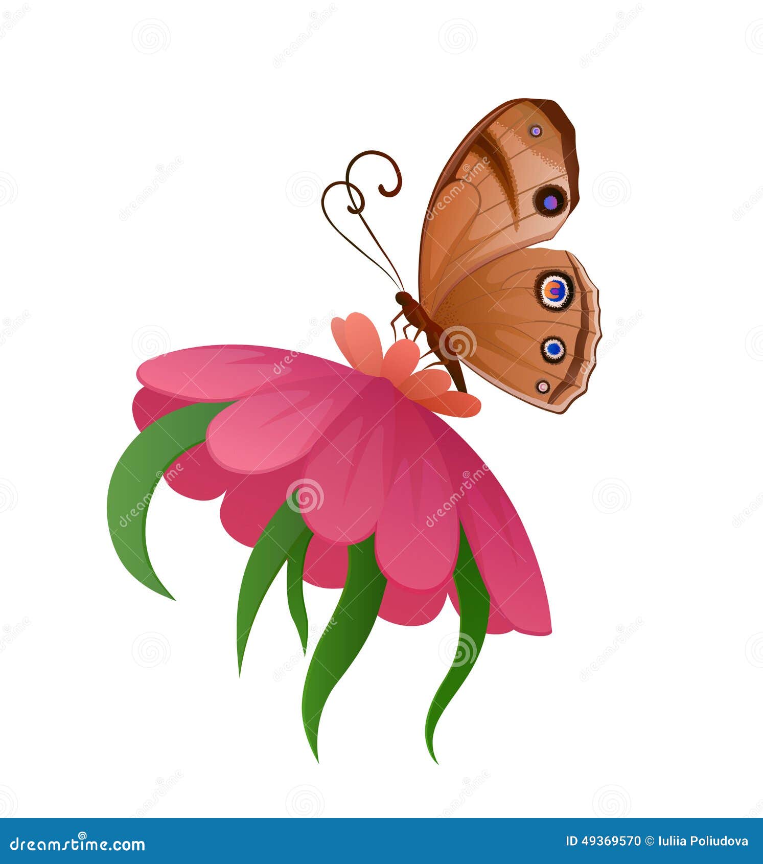 Vector Colorful Butterfly on Flower Stock Illustration Illustration