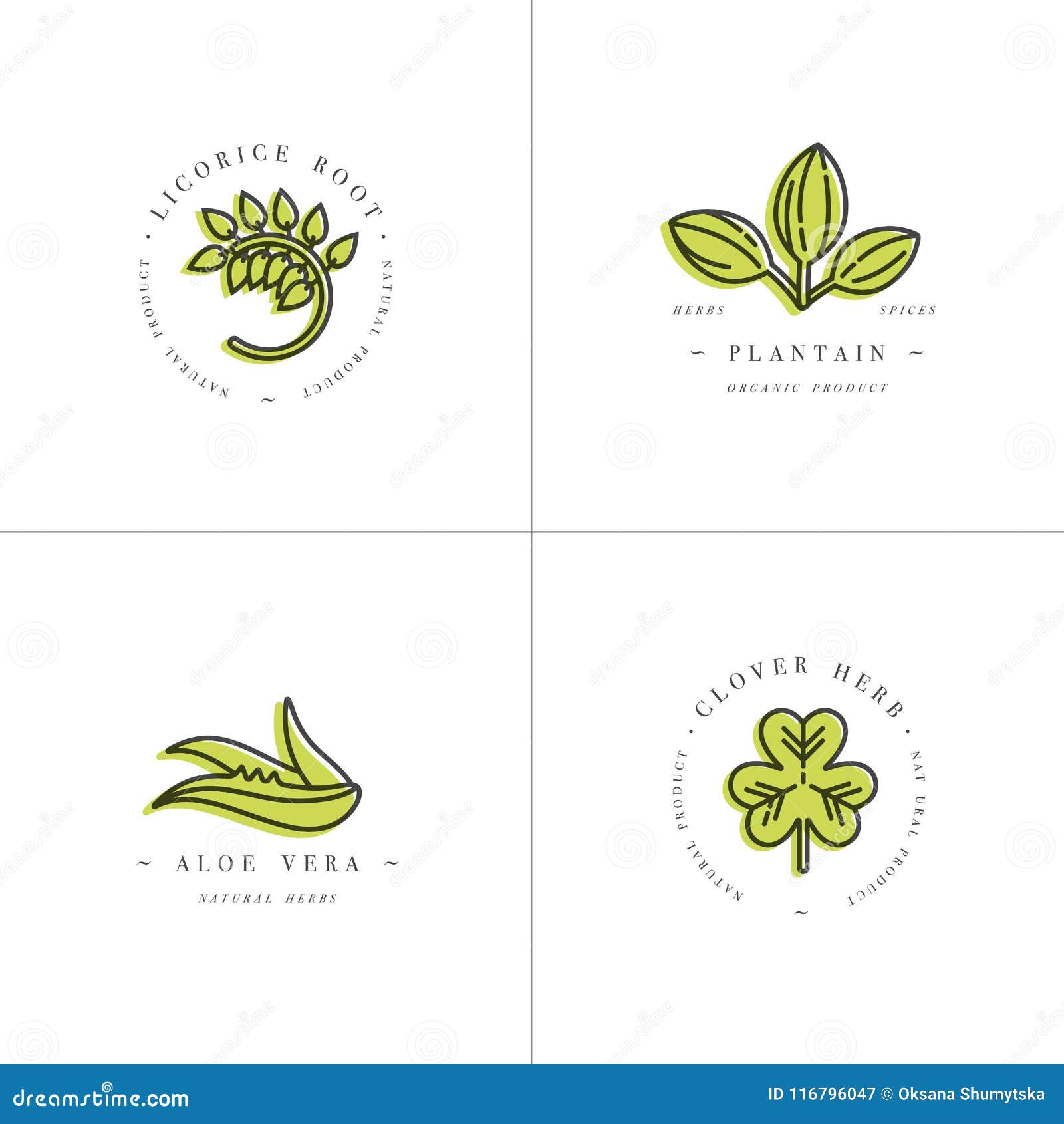 Vector Colorful Set Design Templates and Emblems - Healthy Herbs and ...