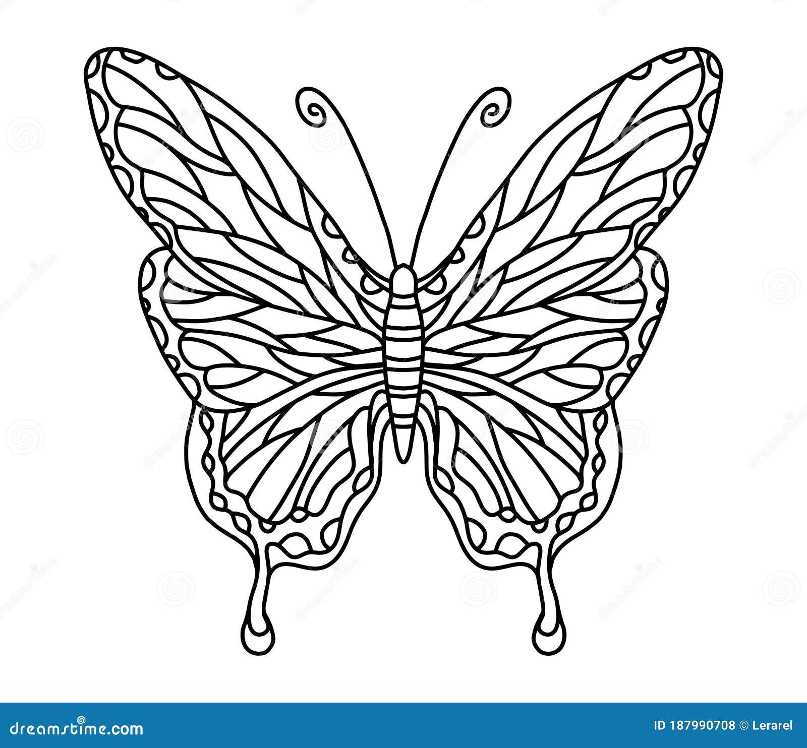 Download Vector Coloring Book With Butterfly For Adults And Children Coloring Book With An Insect With Beautiful Wings Coloring Page For Stock Illustration Illustration Of Decorative Butterfly 187990708