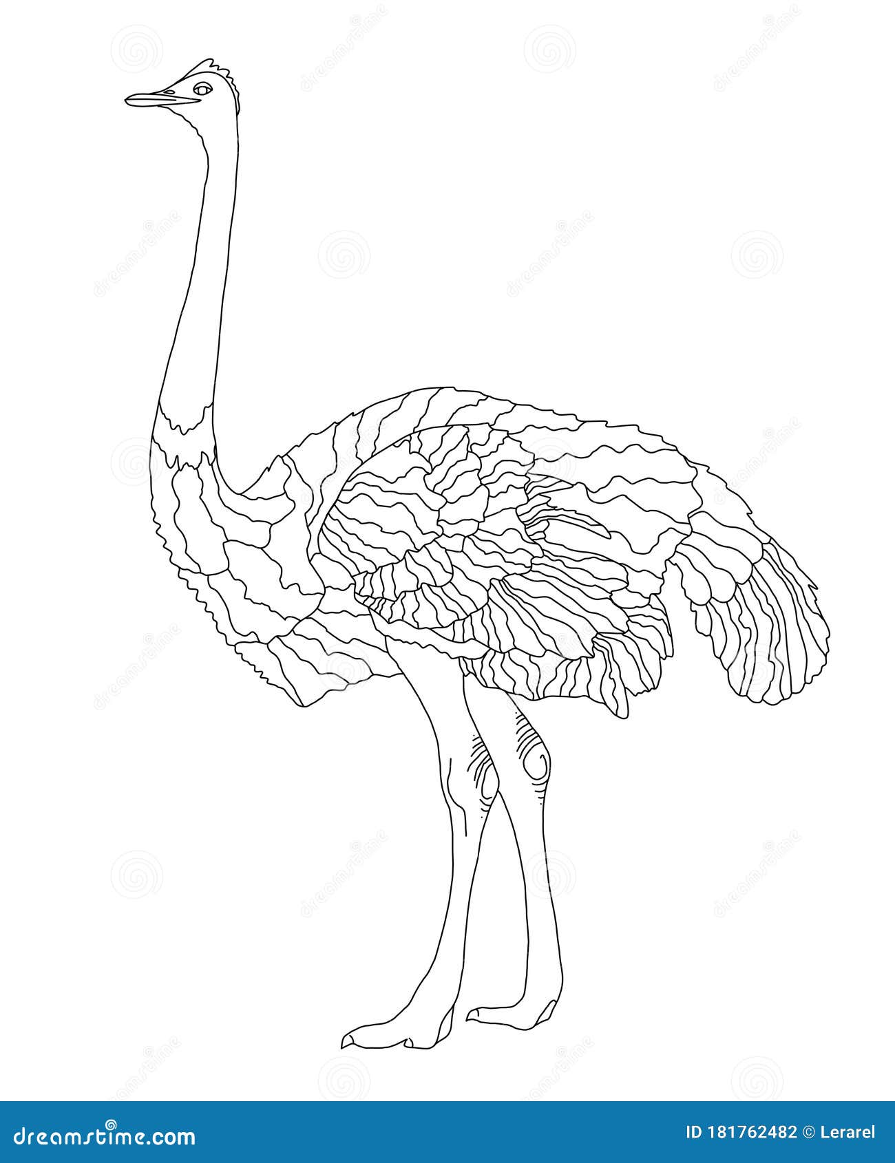 Download Funny Cartoon Emu. Coloring Book Vector Illustration ...
