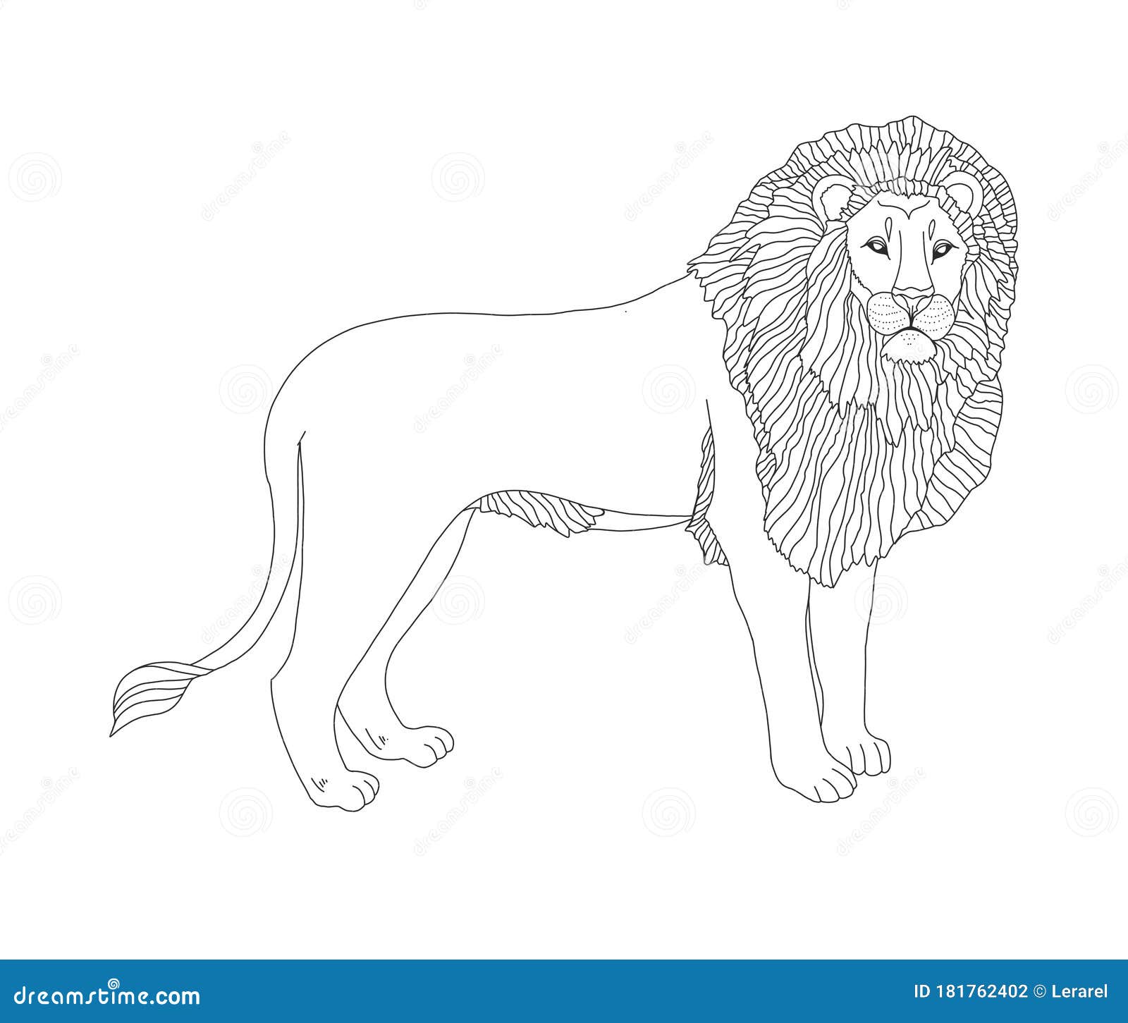 Download Vector Coloring Book For Children And Adults With A Lion The King Of Animals A Lion With A Mane Covered With Patterns Studying Stock Illustration Illustration Of Mammal Proud 181762402