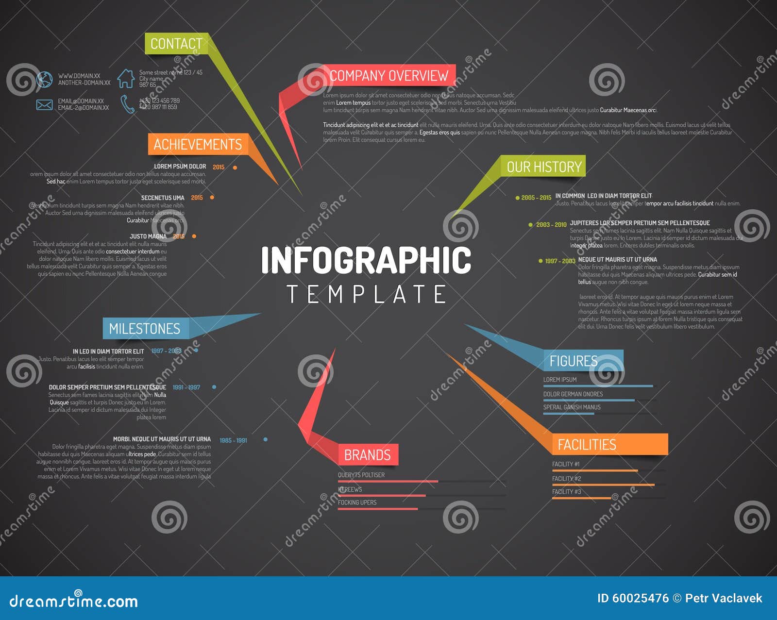  company infographic overview  template