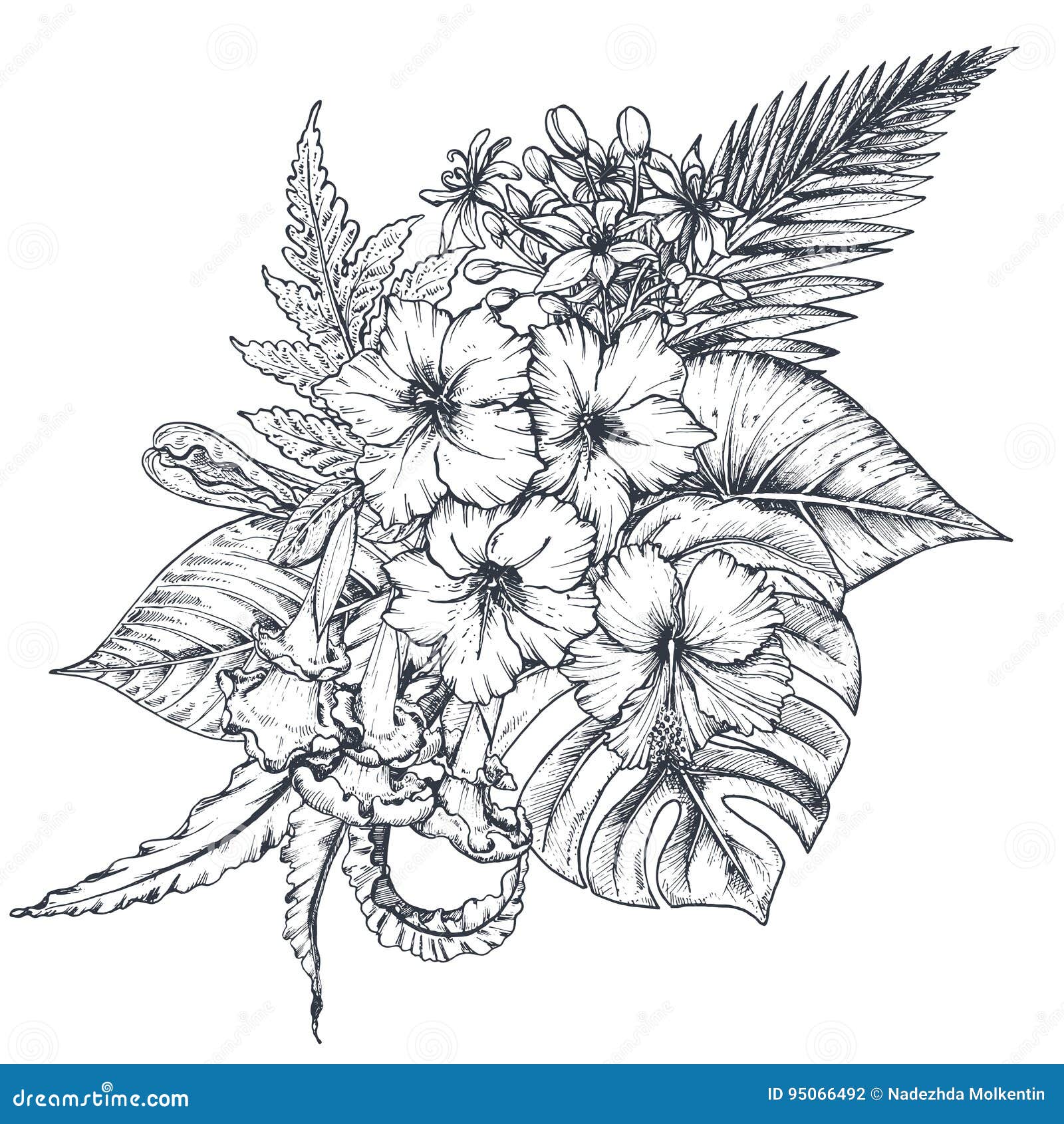 Tropical Flower Line Drawing : Vector composition of hand drawn tropical flowers palm