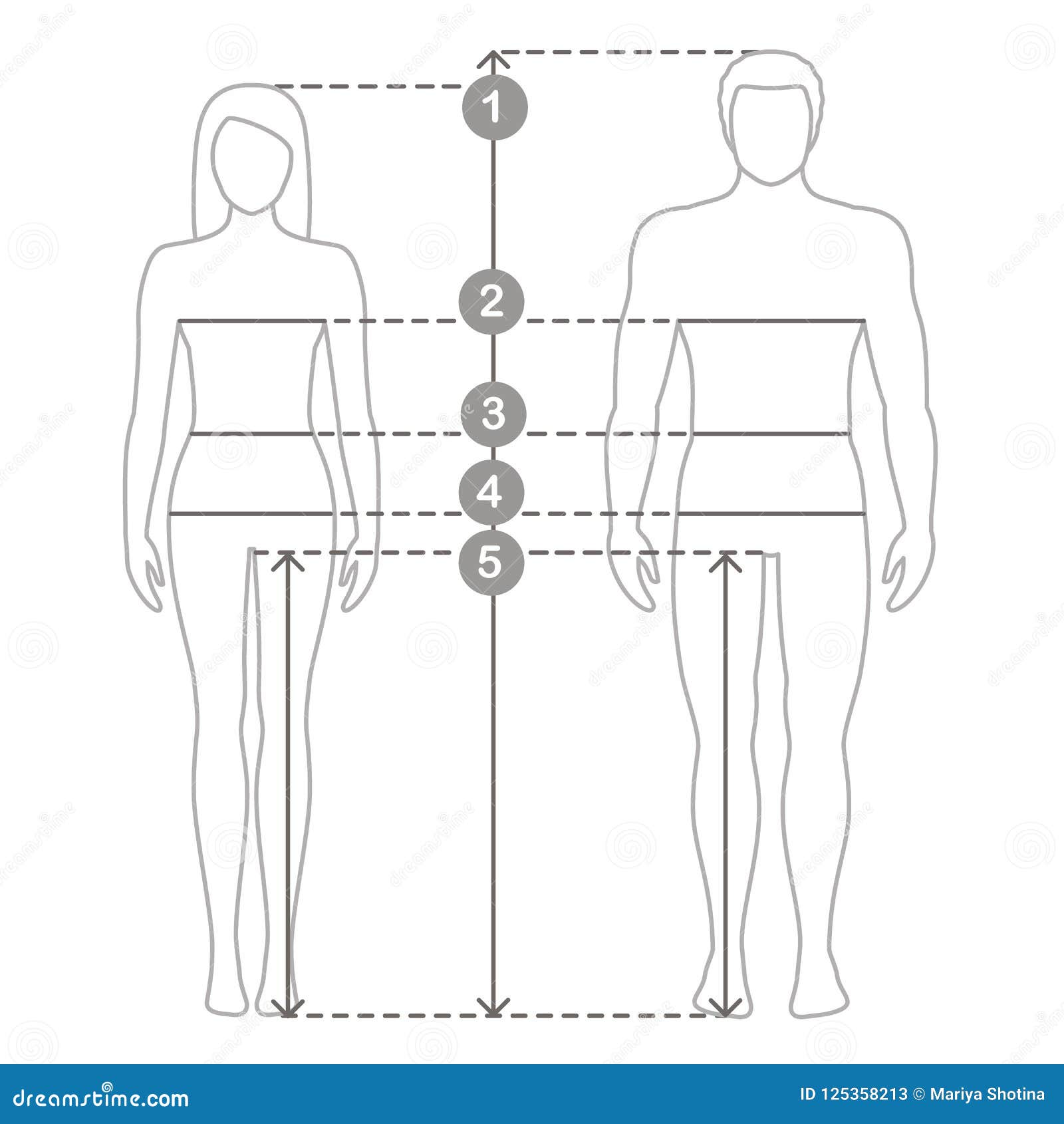 Men standard body parts terminology measurements Illustration for clothes  and accessories production fashion male size chart. 9 head boy for site and  online shop. Human body infographic template Stock Vector Image 