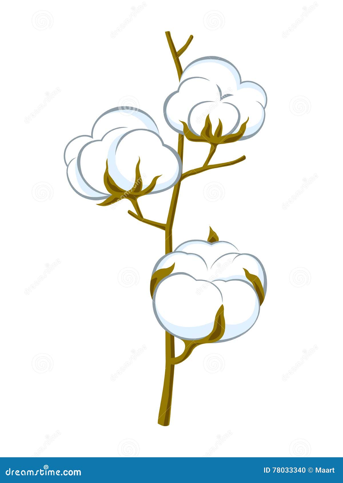 Vector cotton brunch stock vector. Illustration of agriculture - 78033340 Vector cotton brunch stock vector. Illustration of agriculture - 78033340