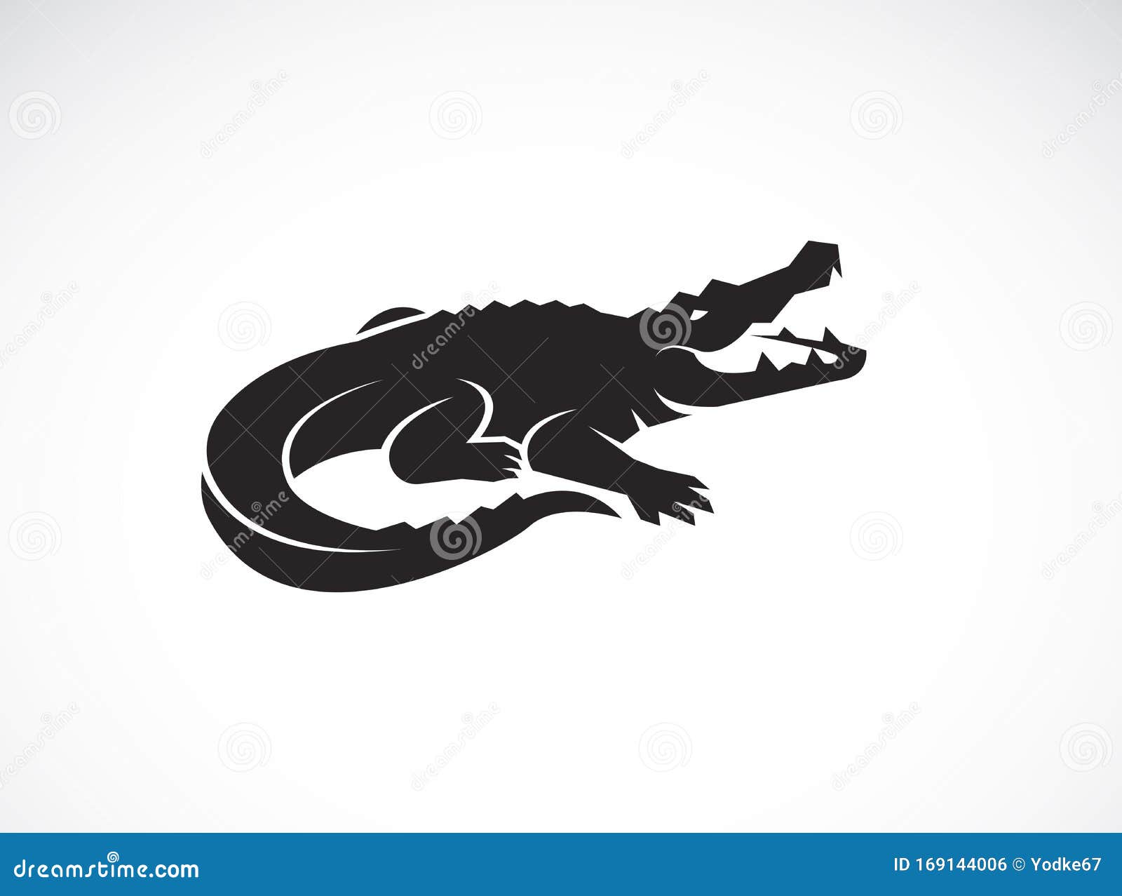 Download Vector Of Crocodile Design On White Background. Wild ...