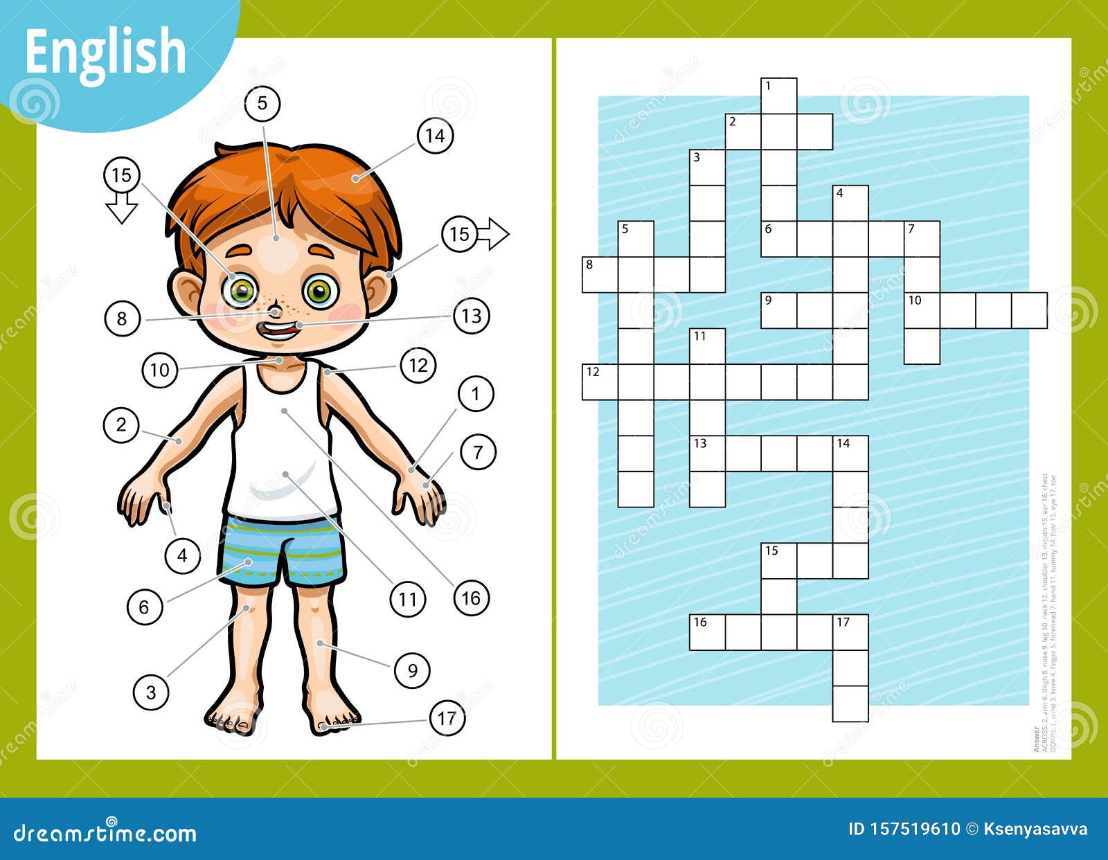Vector Crossword In English, Education Game For Children About The