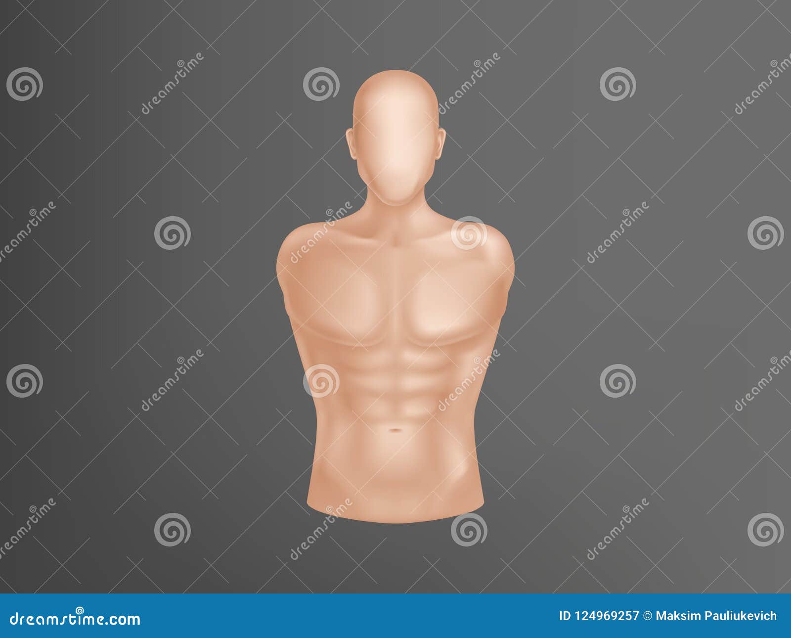  3d realistic human body, man torso