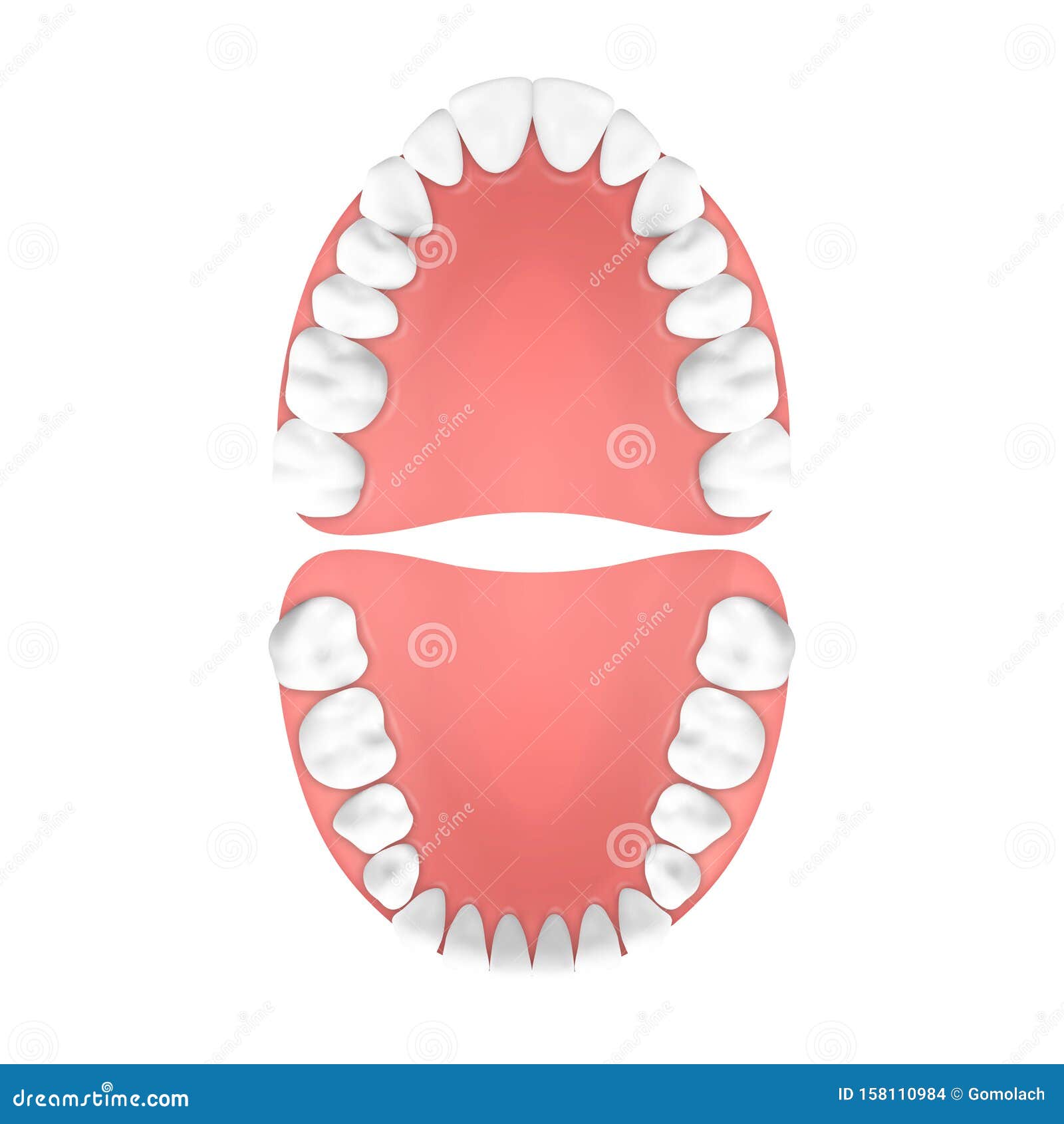Human Jaw Cartoon Vector | CartoonDealer.com #50738347