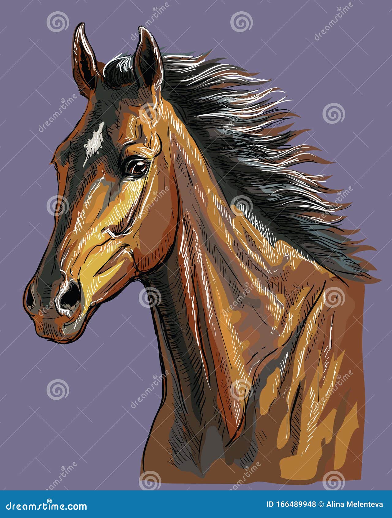 Vector De Retrato De Caballo De Dibujo Manual 23 Ilustración del Vector -  Ilustración de granja, melena: 166489948