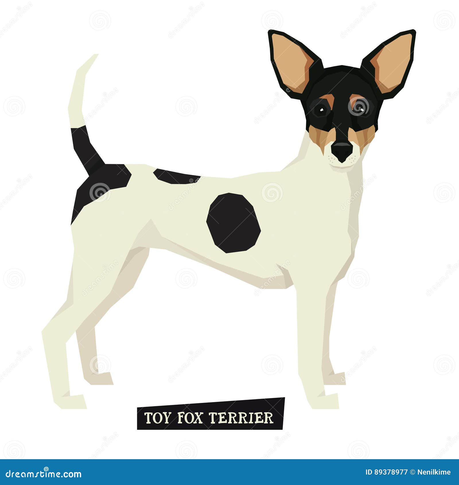 Vector De Toy Fox Terrier Isolated De La Colección Del Perro
