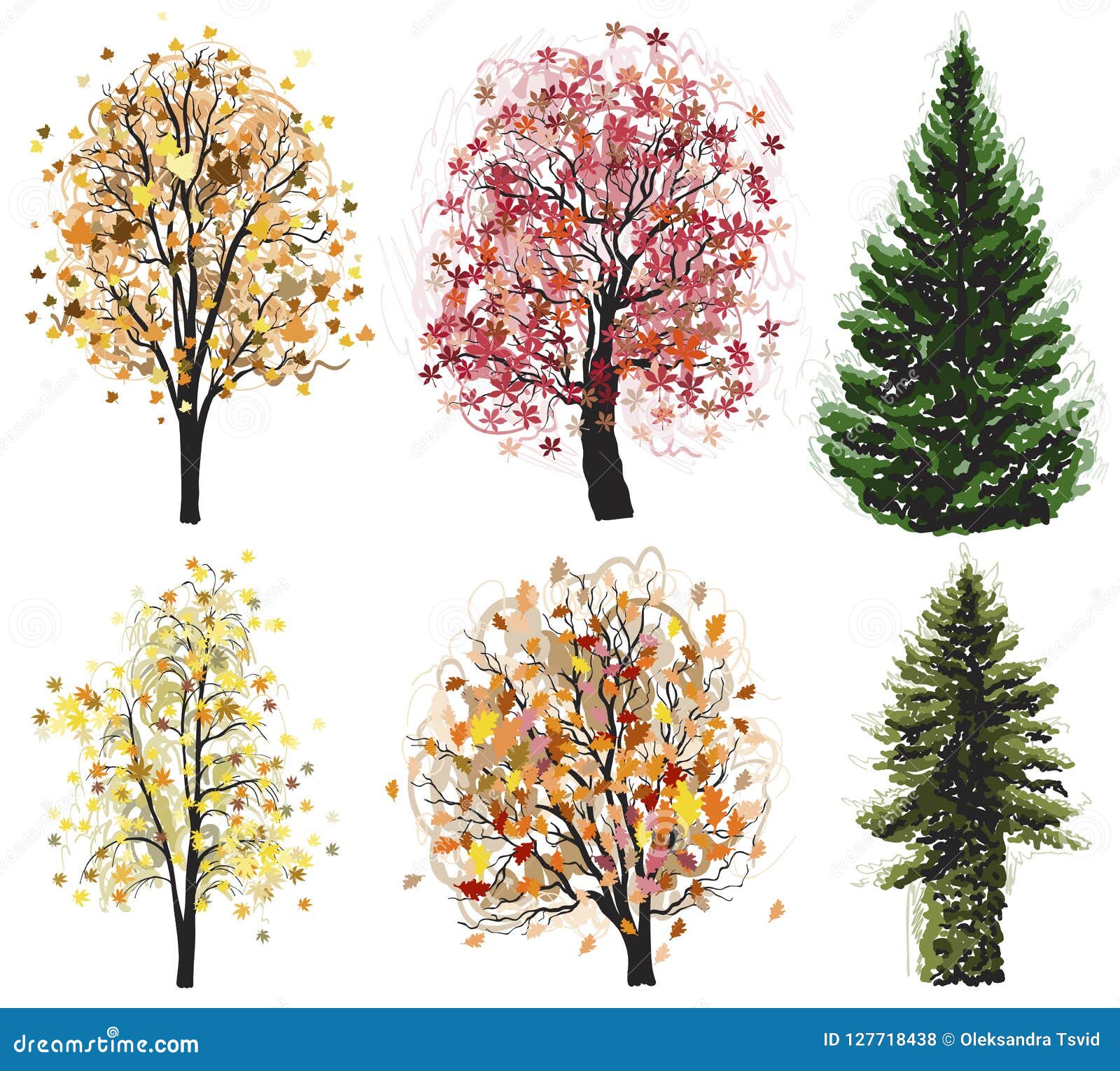 Vector Deciduous and Coniferous Autumn Trees Set. Stock Vector