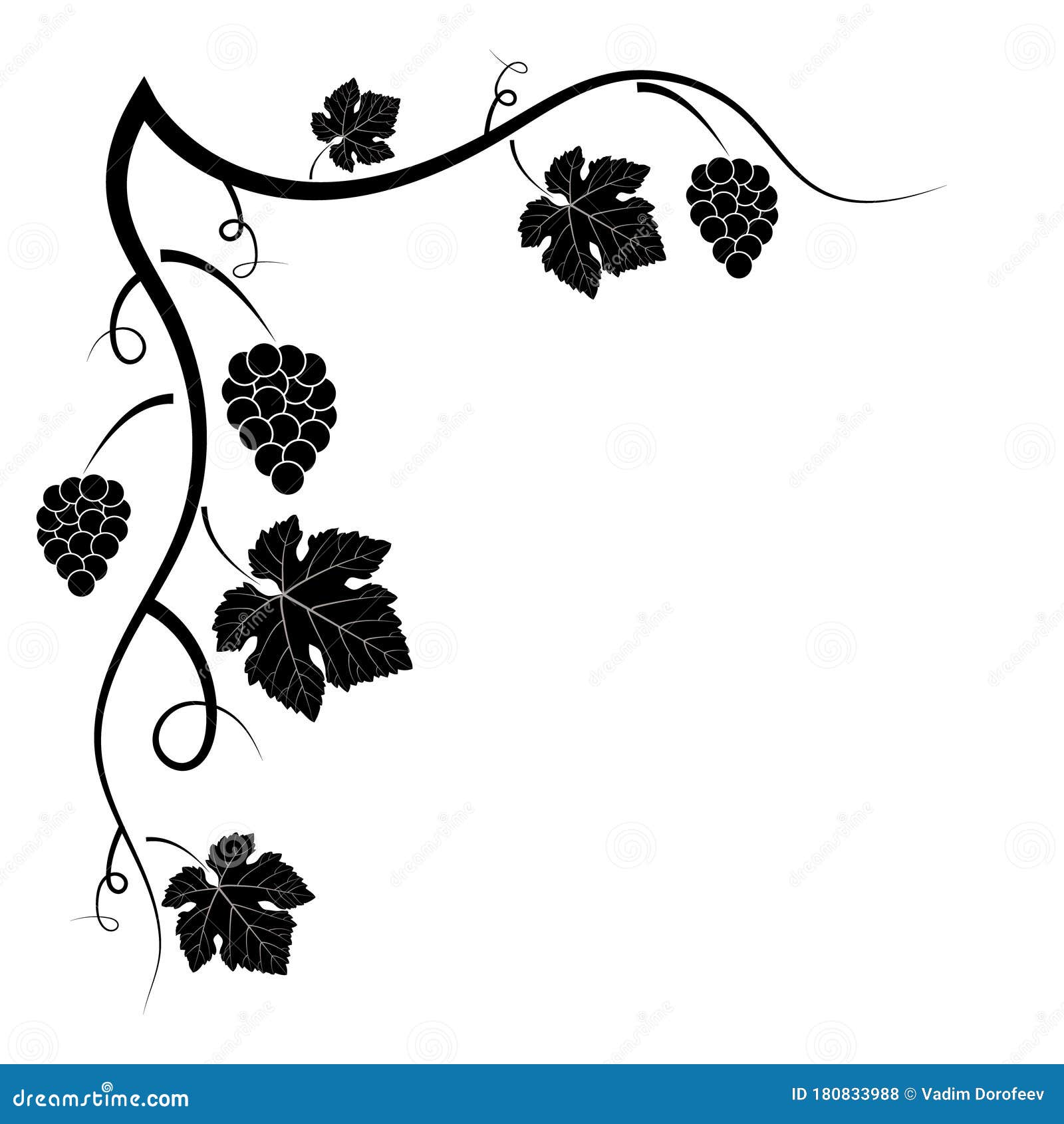 Decorative vines eps Royalty Free Vector Image