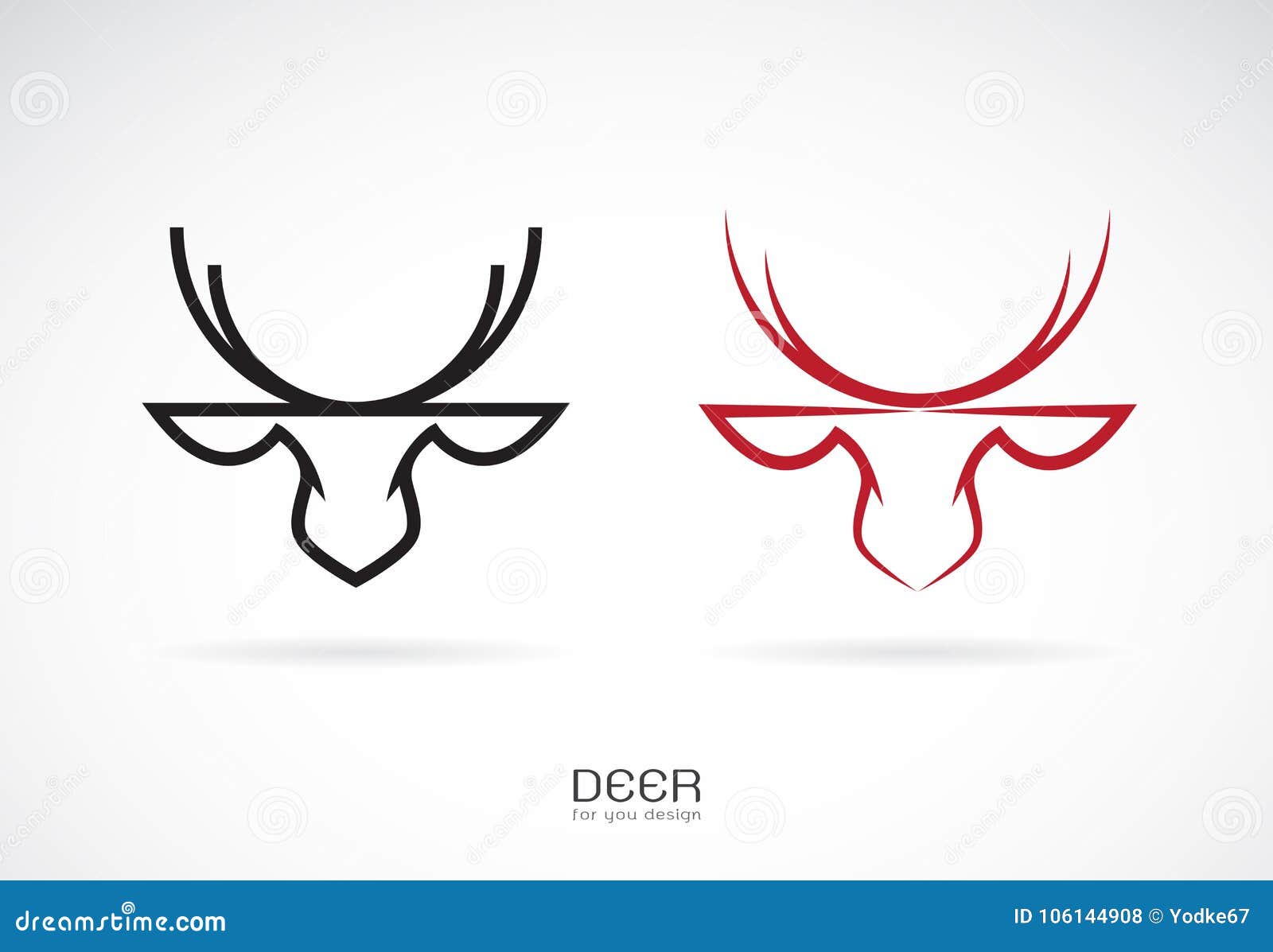  of deer head  on white background. . animals.