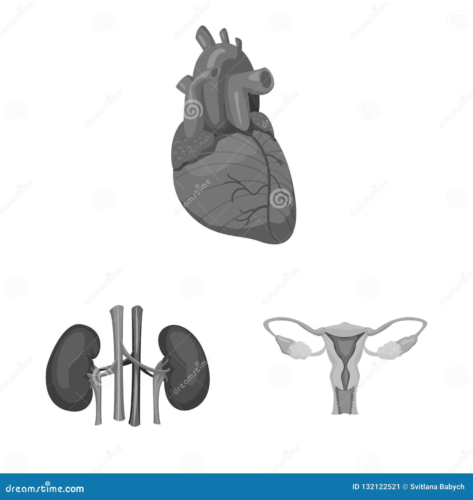 Download Vector Design Of Body And Human Logo. Set Of Body And Medical Vector Icon For Stock. Stock ...