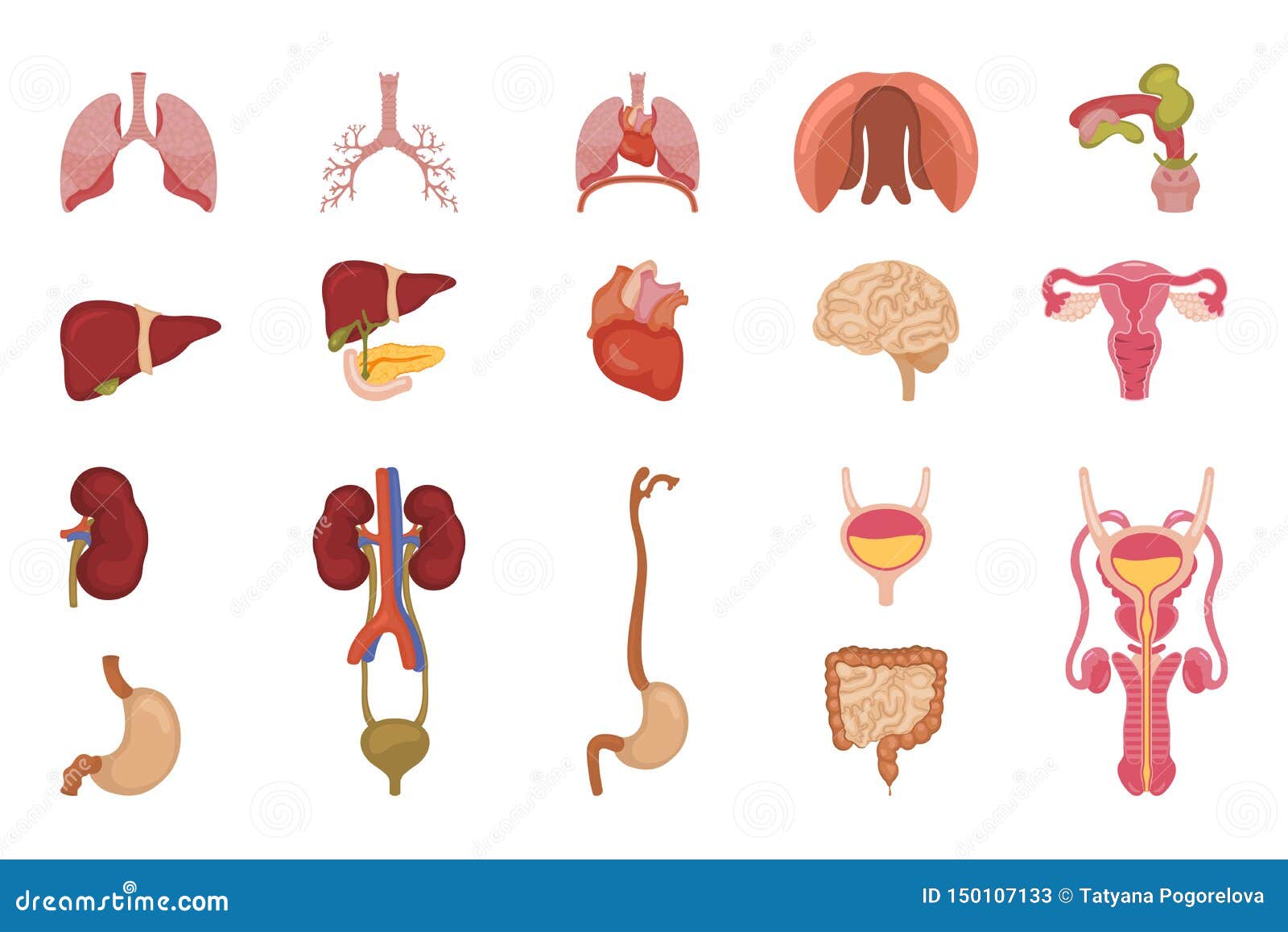 Download Vector Design Of Body And Human Symbol. Set Of Body And Medical Stock Symbol Stock Vector ...