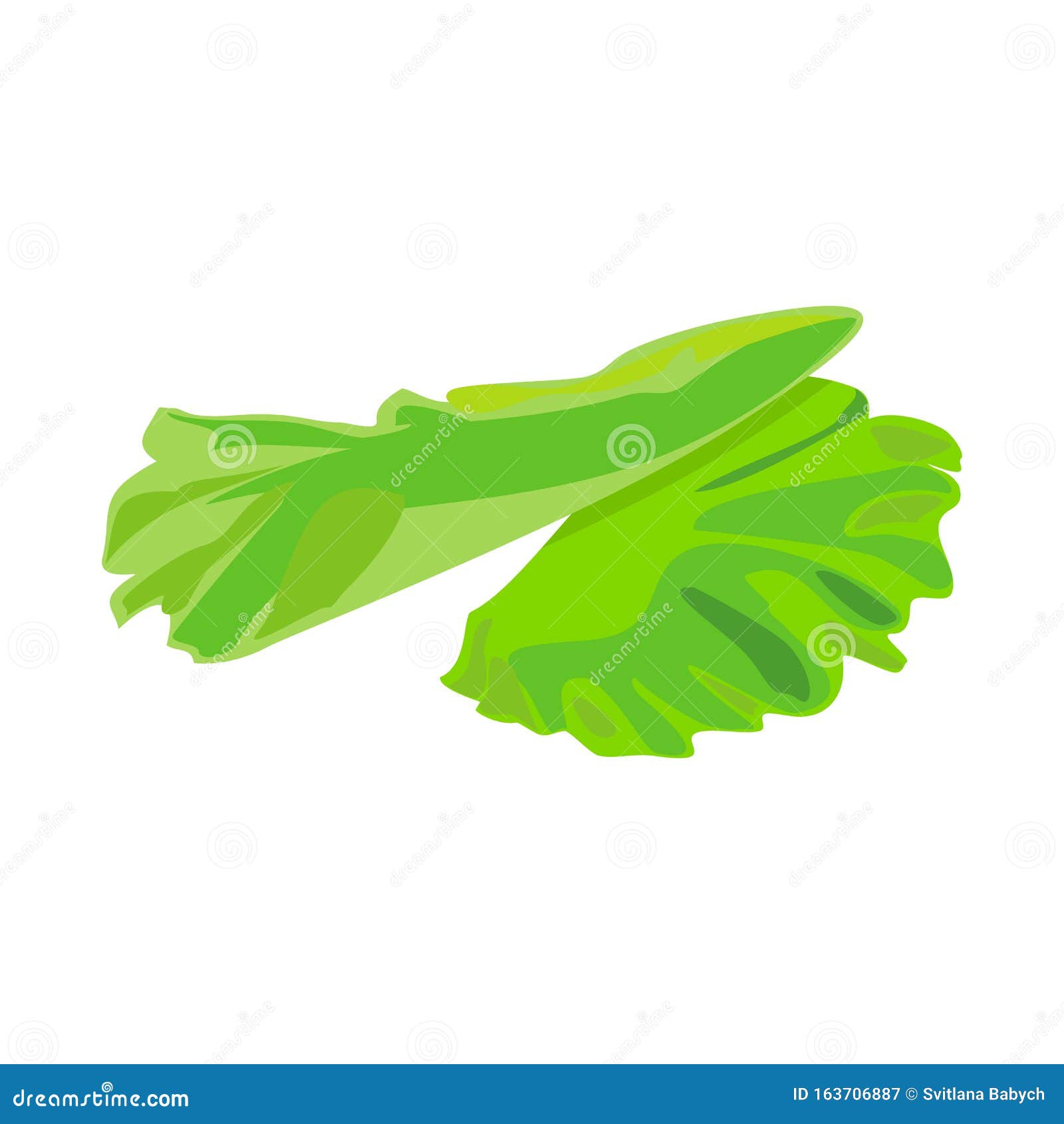 Vector Design of Lettuce and Leaf Sign. Web Element of Lettuce and ...