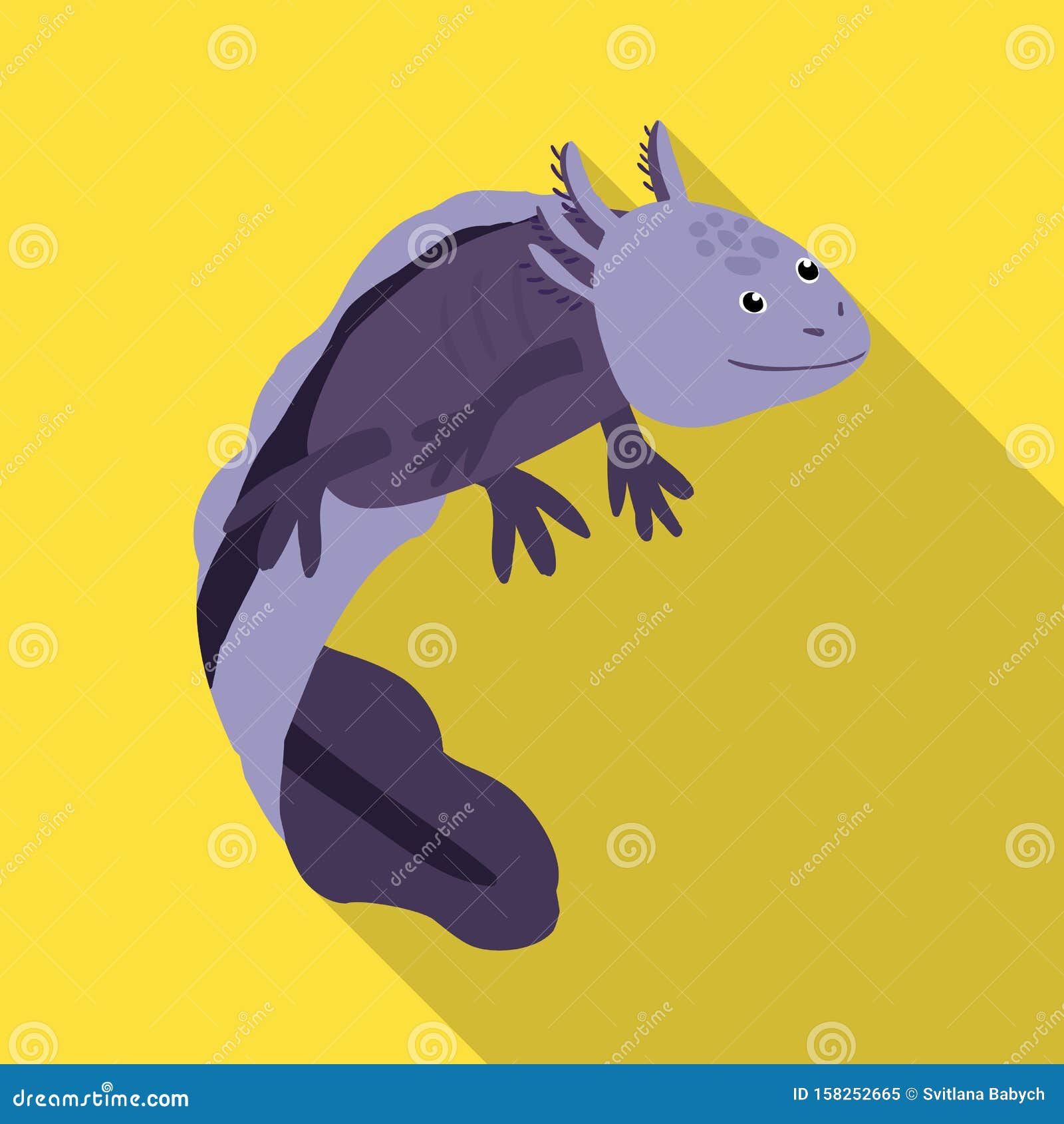   of lizard and axolotl icon. set of lizard and neotenic stock  .