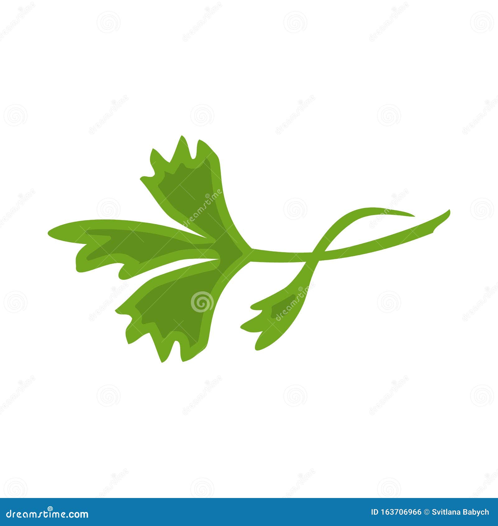 Isolated Object of Parsley and Leaf Symbol.  Element of Parsley and