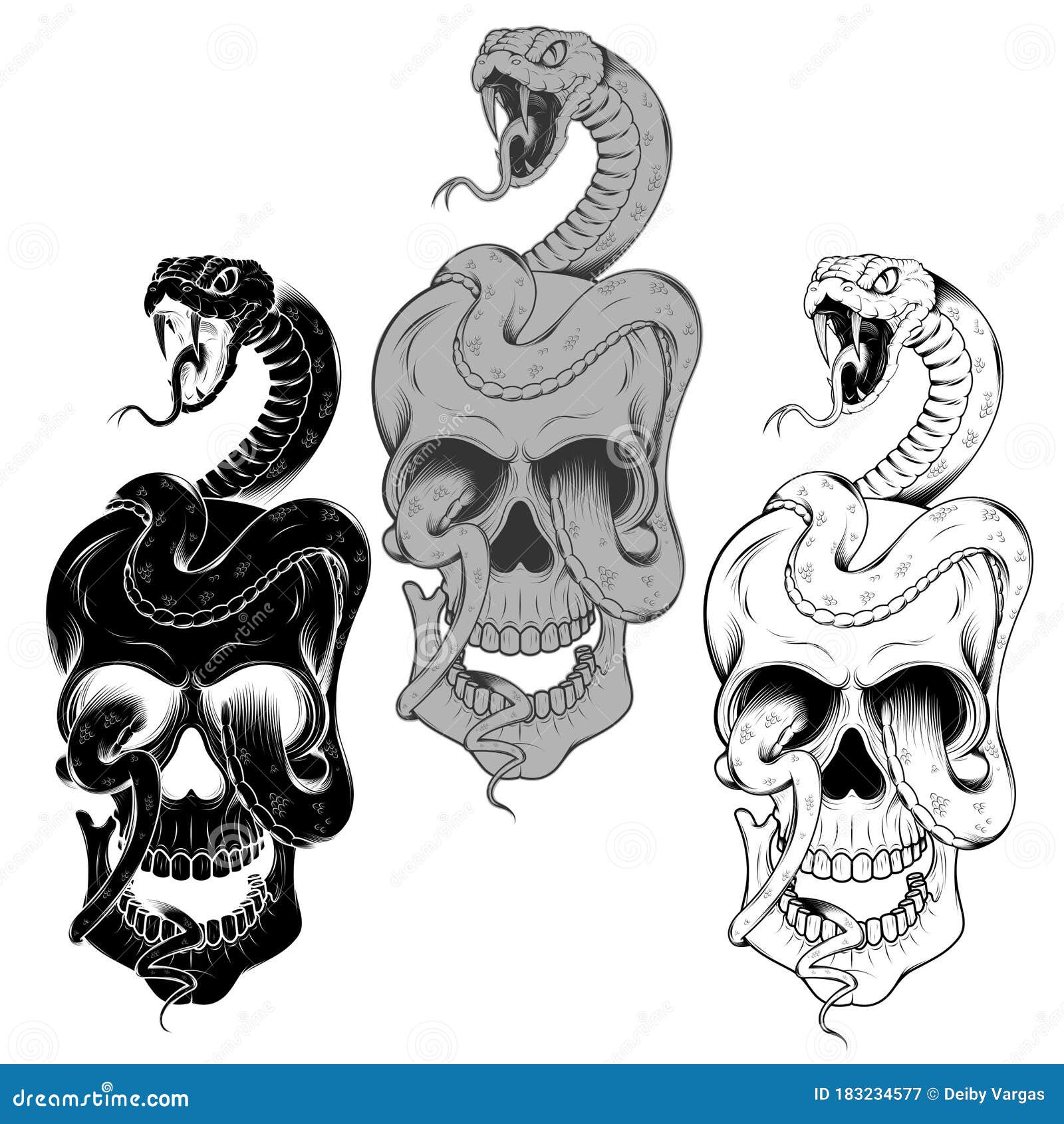 Snakes and skulls stock vector. Illustration of drawing - 183234577, image size:1600x1690
