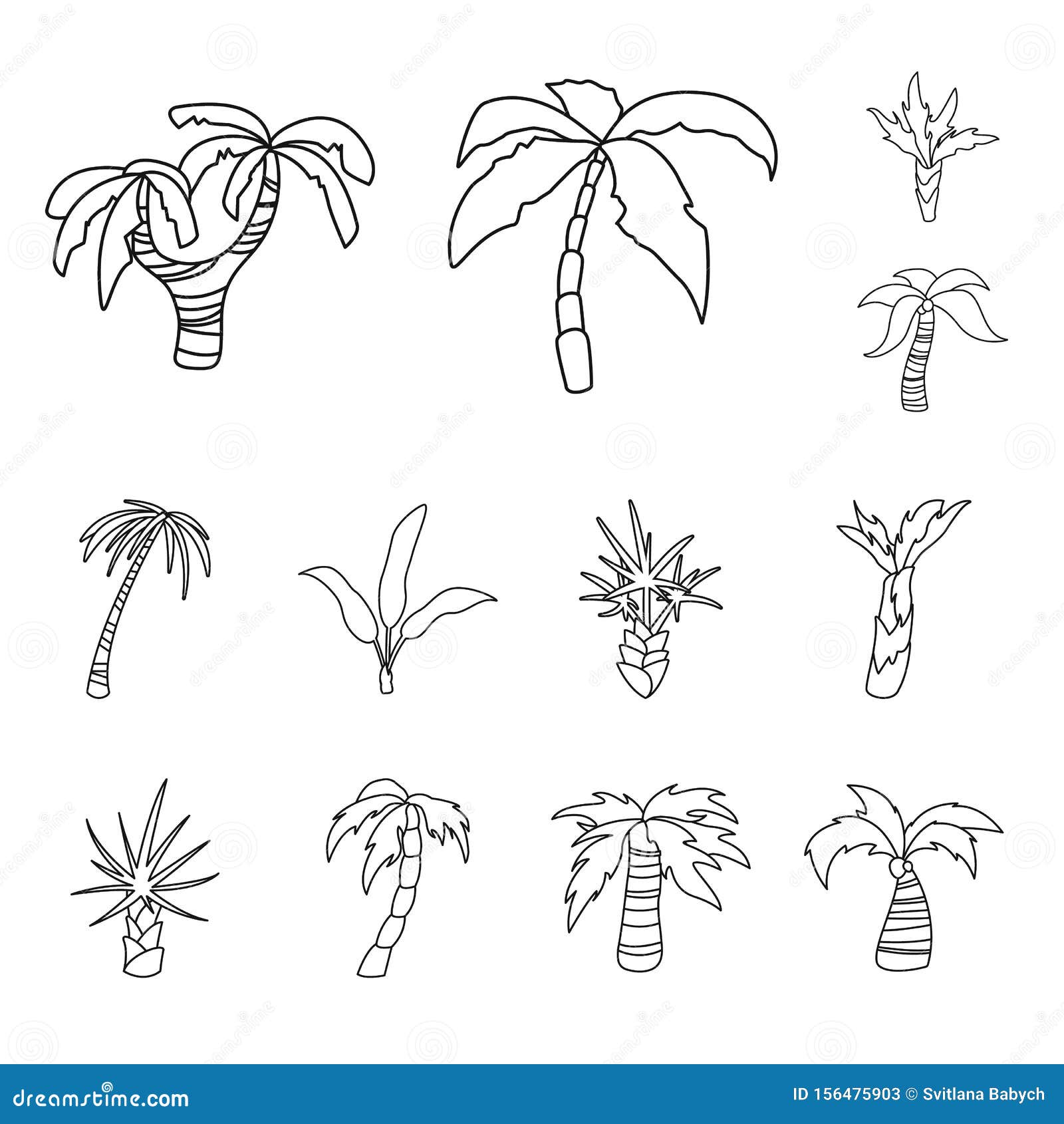   of tropical and summer . set of tropical and botanical  icon for stock.
