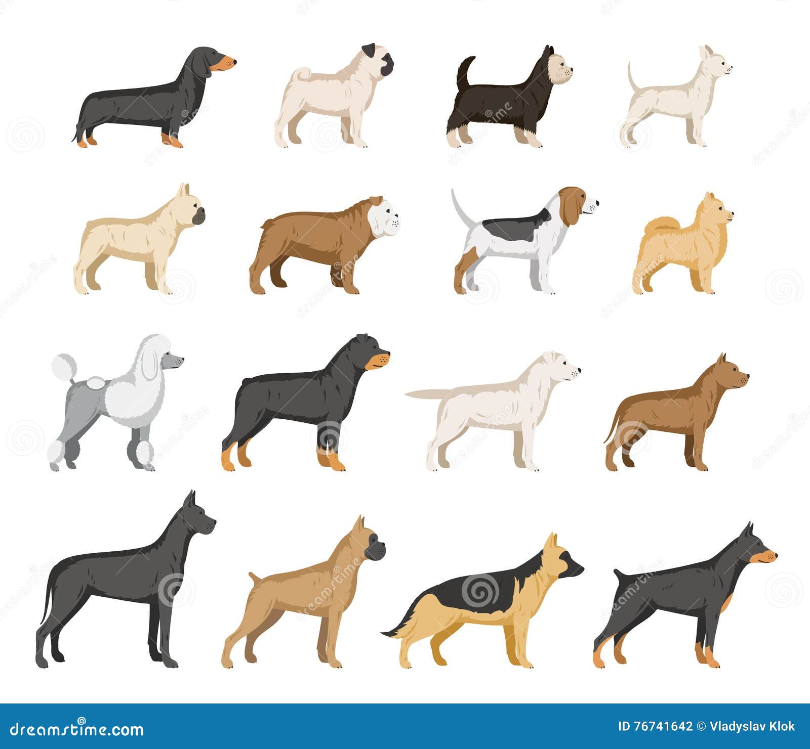  dog breeds collection  on white